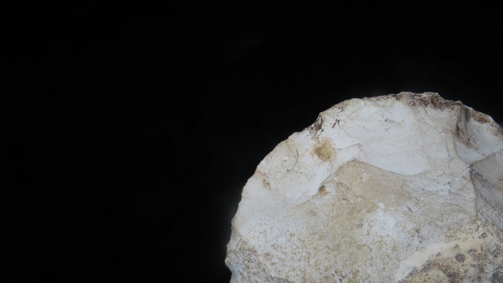 4 1/4" Cache Blade/Disc - 4