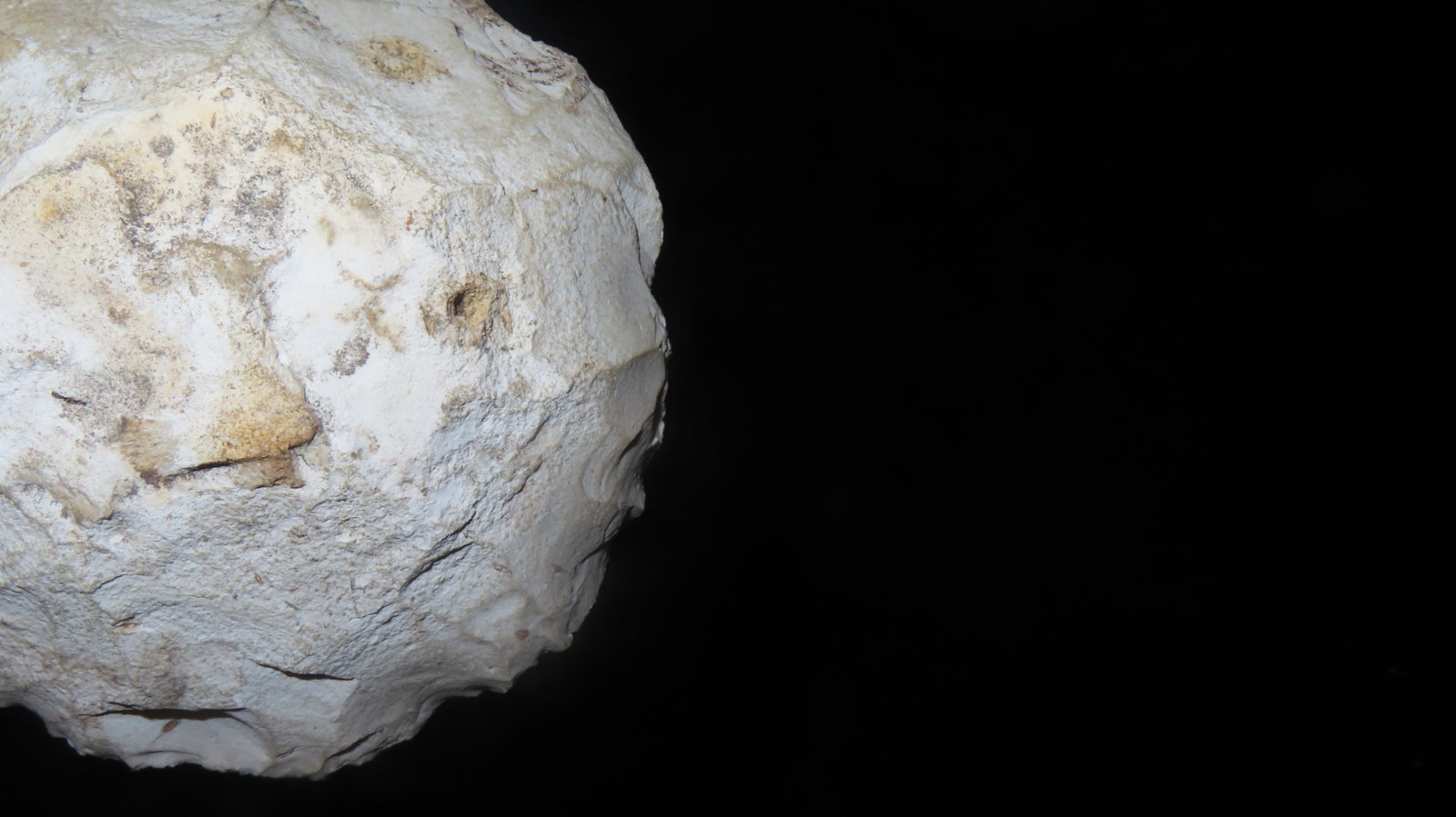 4 1/4" Cache Blade/Disc - 5