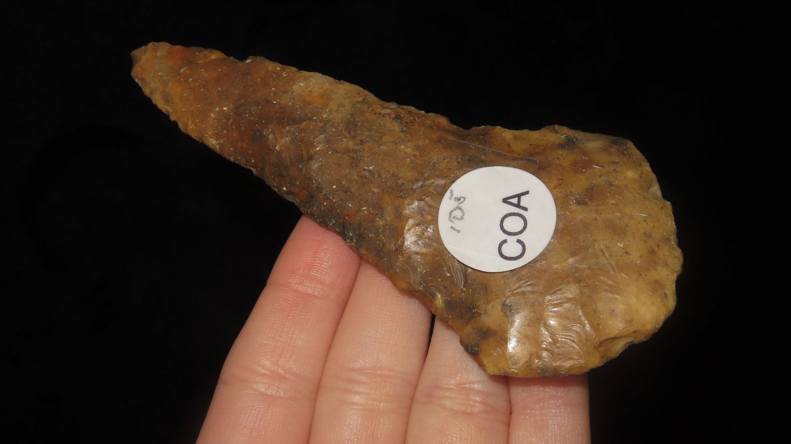 4 1/2" Stanfield, Rogers COA, Found in Boone County, Missouri: 4 1/2" Stanfield, Rogers COA, Found in Boone County, Missouri