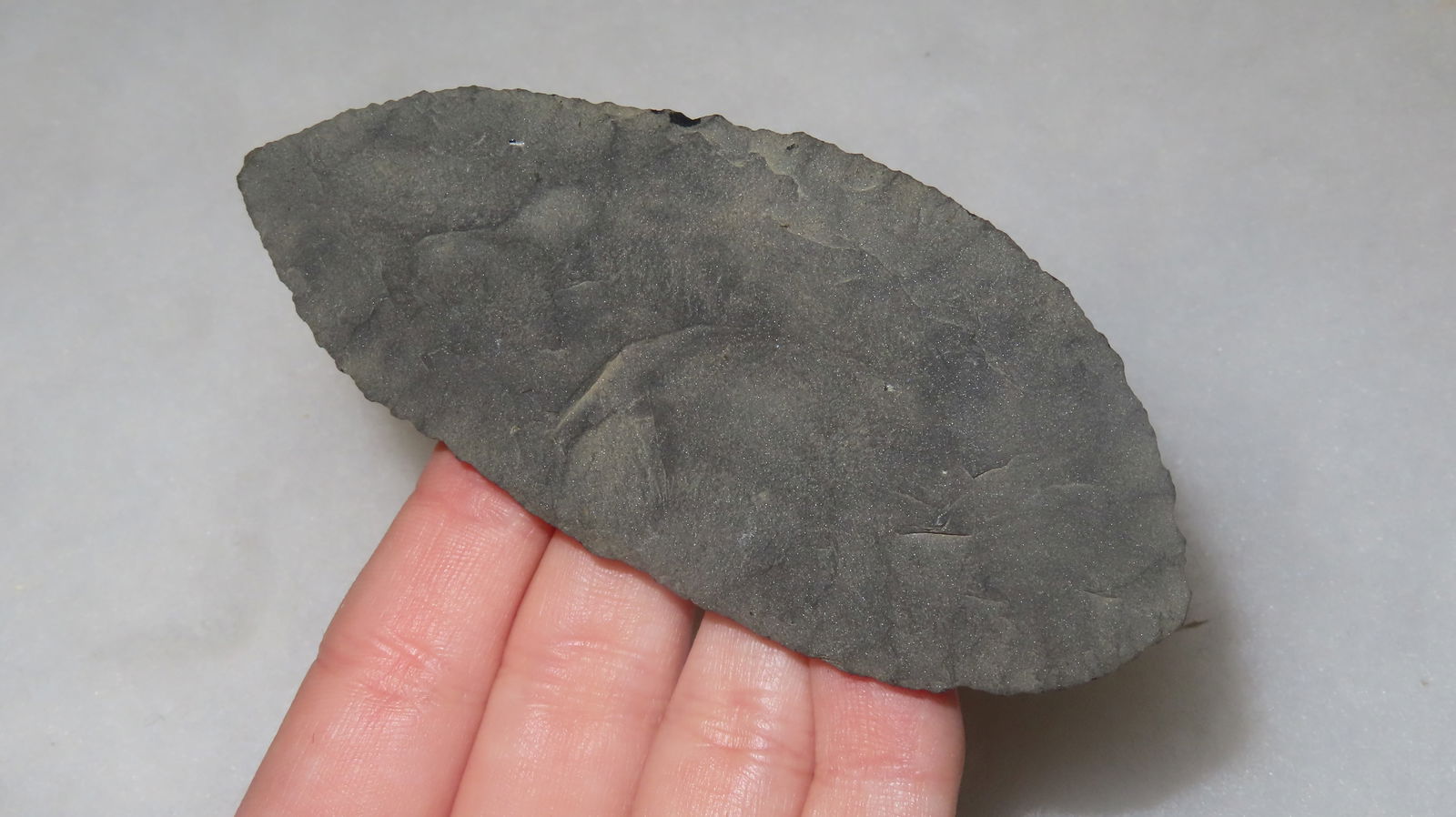 4" Paleo Balde, Thin and Well Made: 4" Paleo Balde, Thin and Well Made