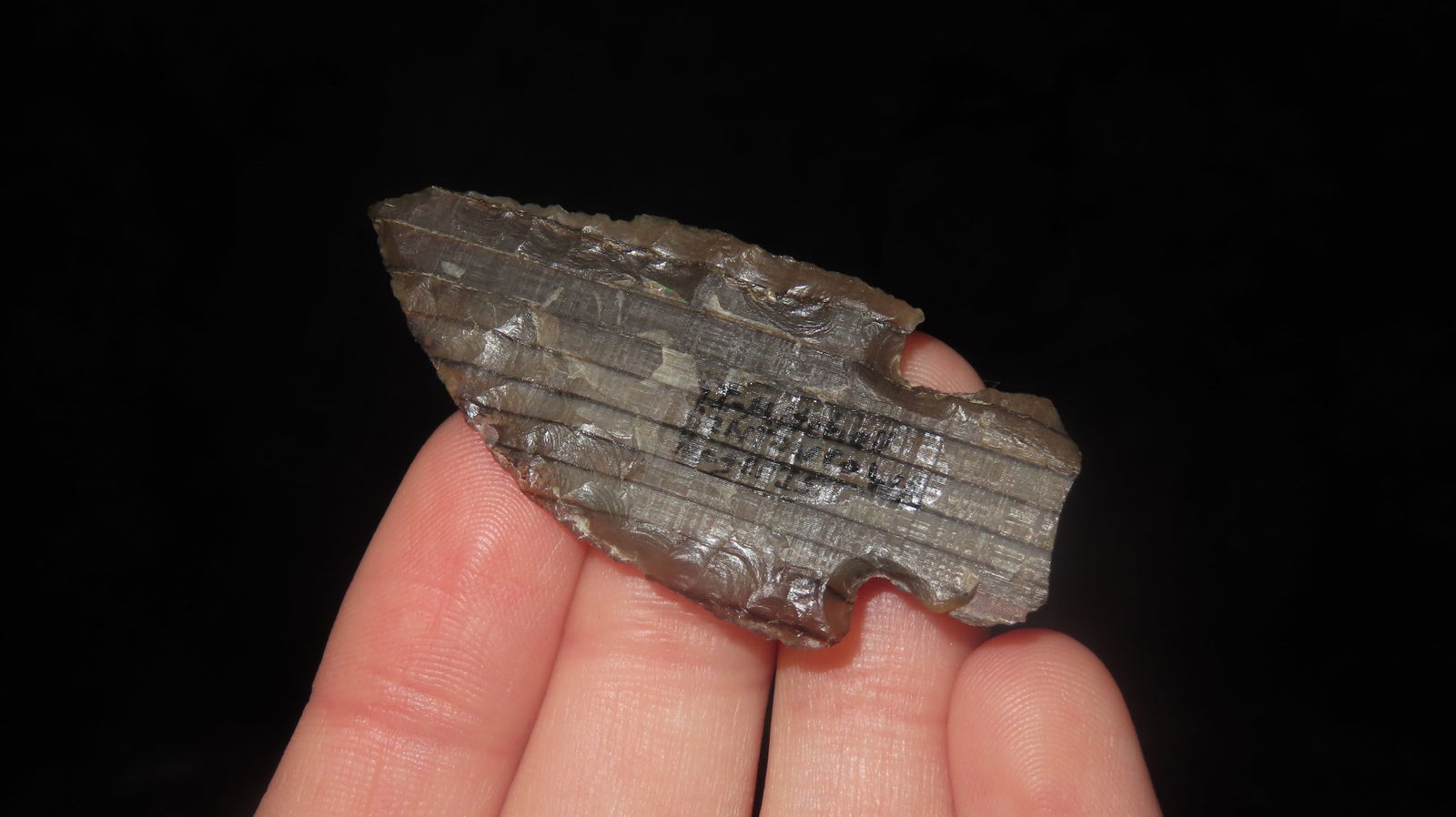 1 3/4" Petrified Wood Archiac Point, Benton Co. Washington: 1 3/4" Petrified Wood Archiac Point, Benton Co. Washington