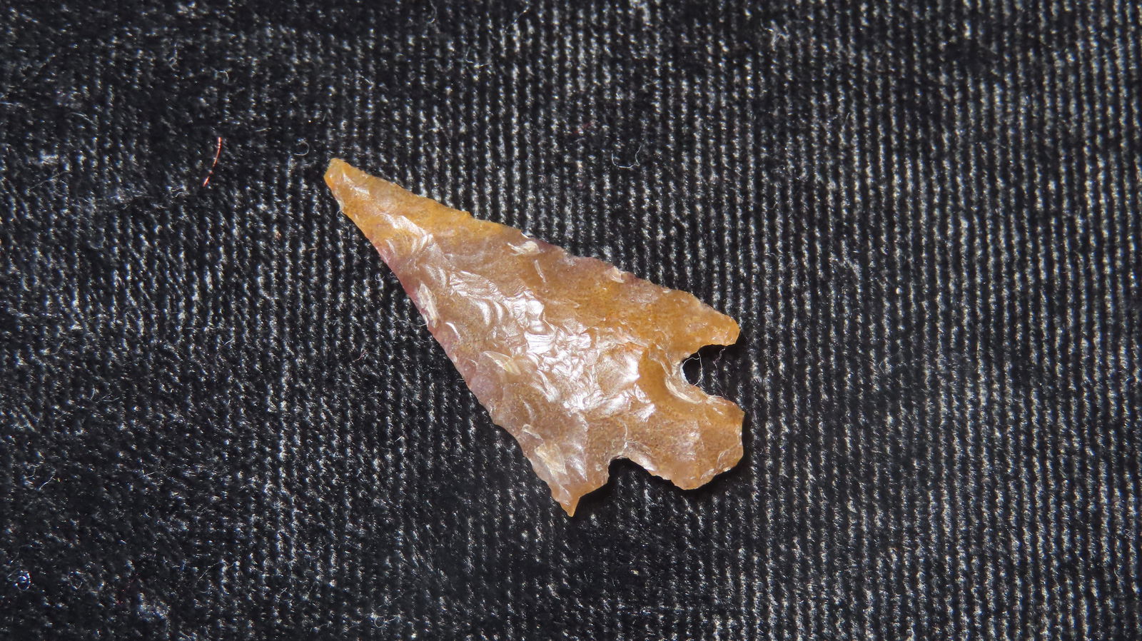 1 1/8" Translucent Bird Point, Found in Mouth of the Palouse River in Witman County, Washington: 1 1/8" Translucent Bird Point, Found in Mouth of the Palouse River in Witman County, Washington