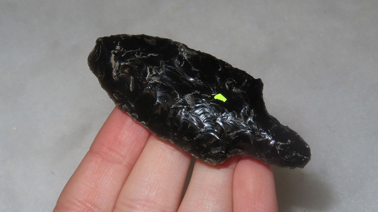 2 3/4" Obsidian Cordilleran: 2 3/4" Obsidian Cordilleran