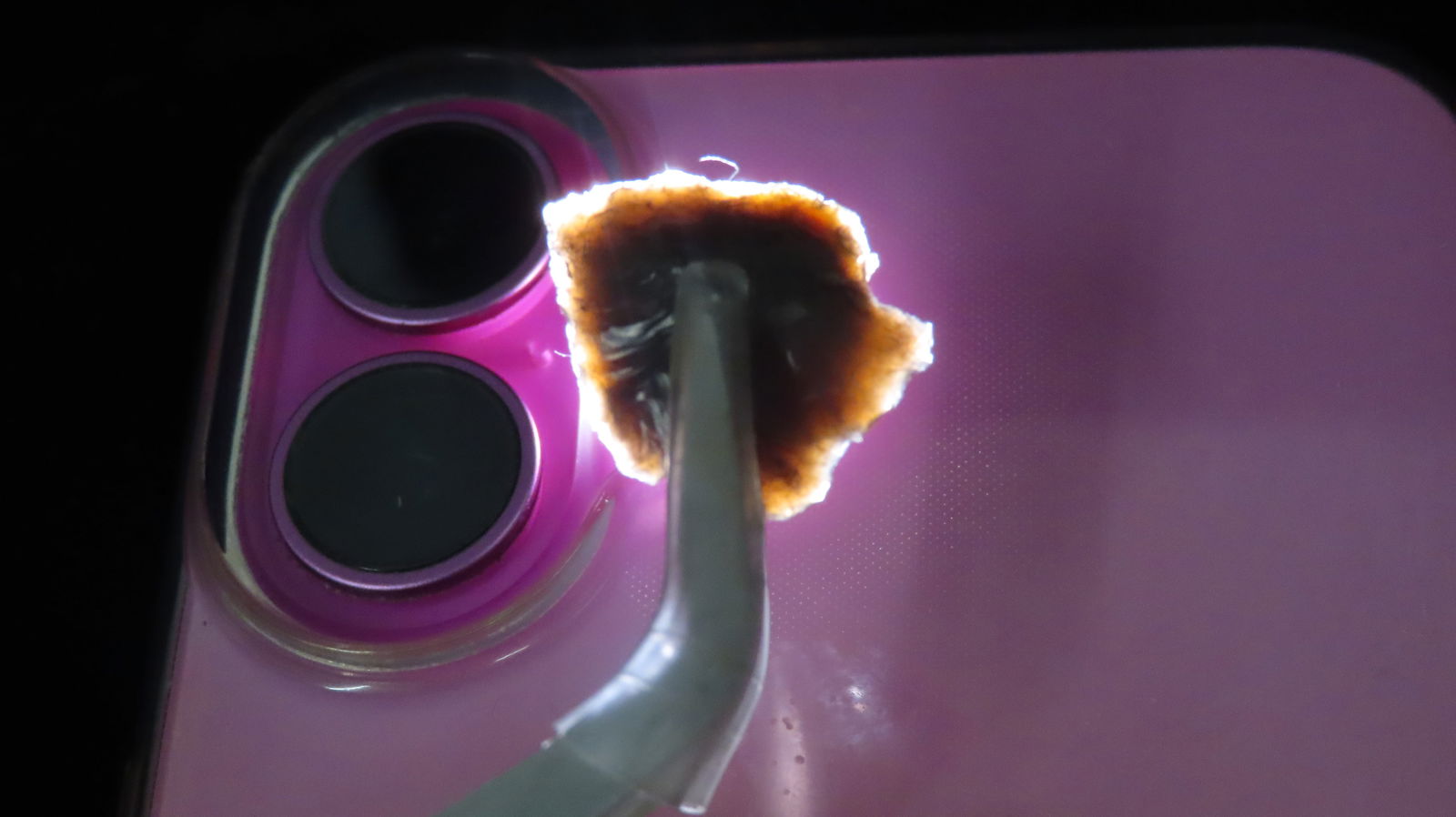 Pair of 2 Translucent Bird Points, Found in Mouth of the Palouse River in Witman County, Washington: Pair of 2 Translucent Bird Points, Found in Mouth of the Palouse River in Witman County, Washington