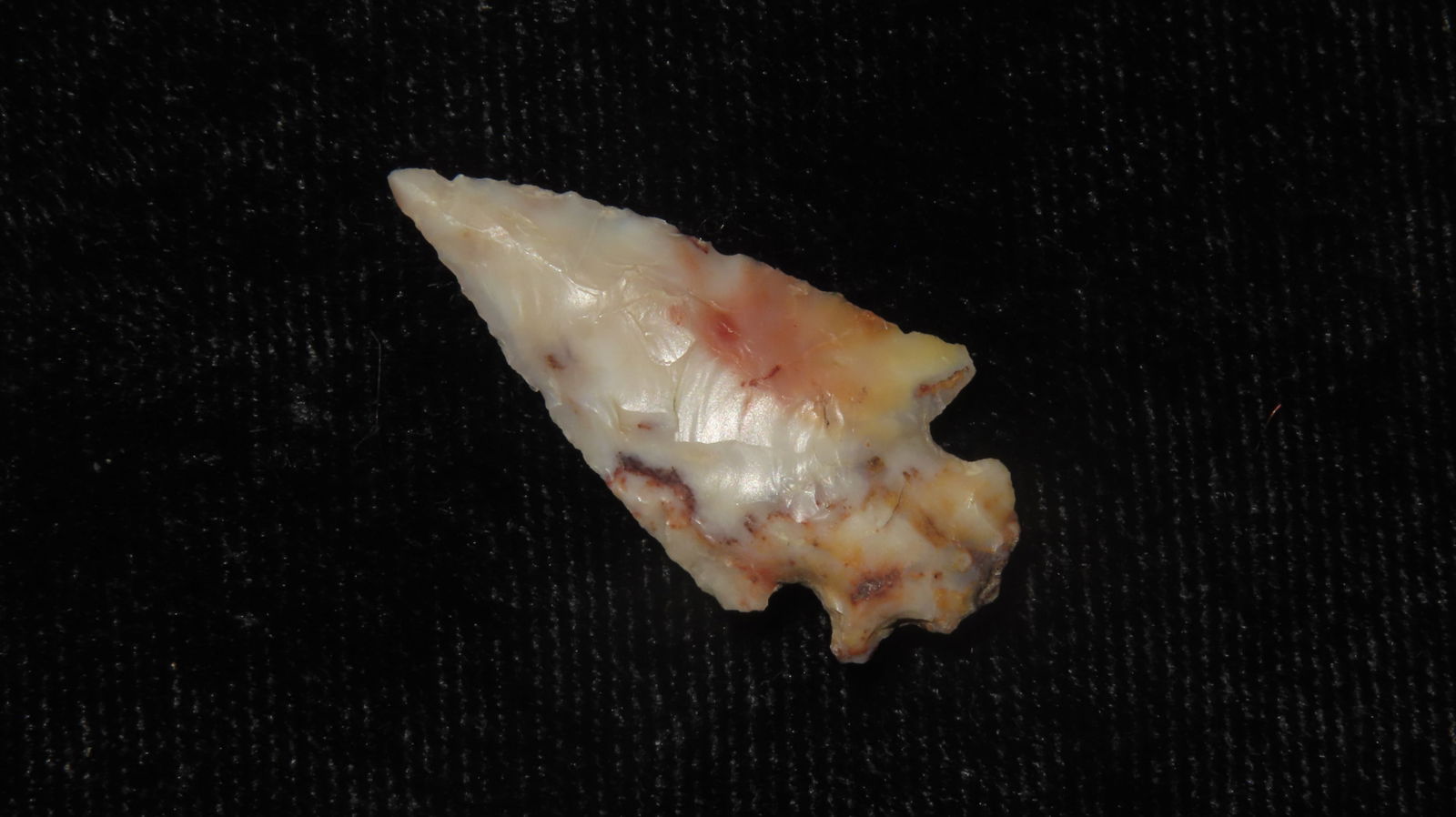 1' Bird Point, Found in Mouth of the Palouse River in Witman County, Washington: 1" Bird Point, Found in Mouth of the Palouse River in Witman County, Washington