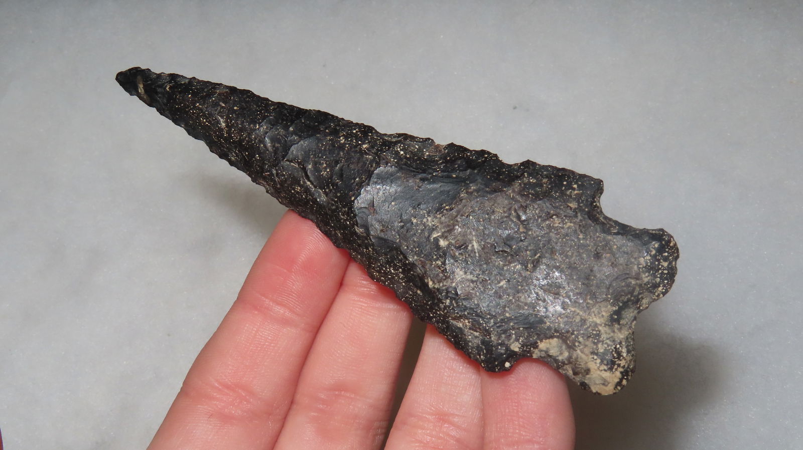 3 7/8" Elko Wide Notched, Oregon: 3 7/8" Elko Wide Notched, Oregon