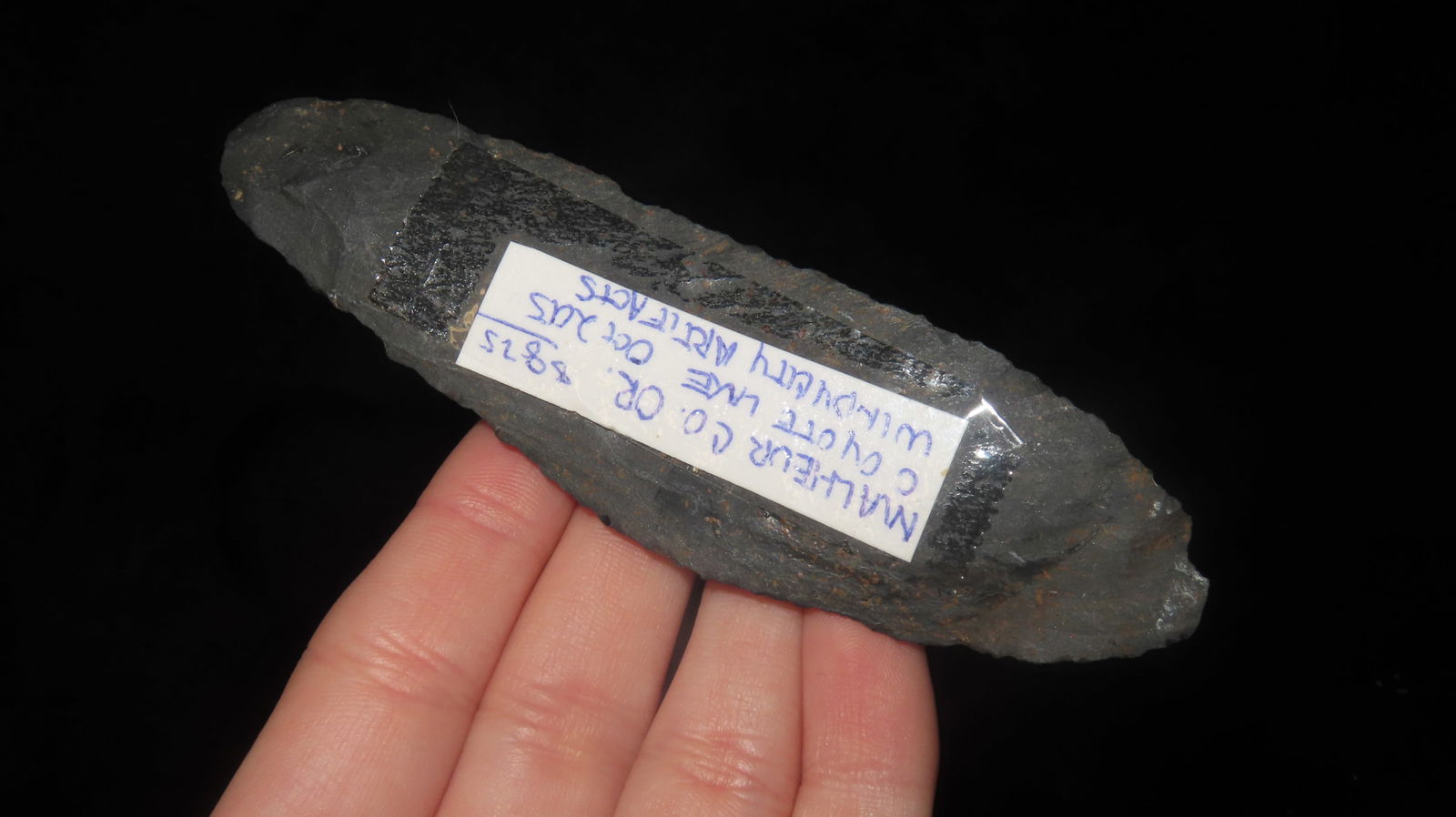 Flake Blade, found at Coyote Lake Malhuer Co, Oregon: Flake Blade, found at Coyote Lake Malhuer Co, Oregon