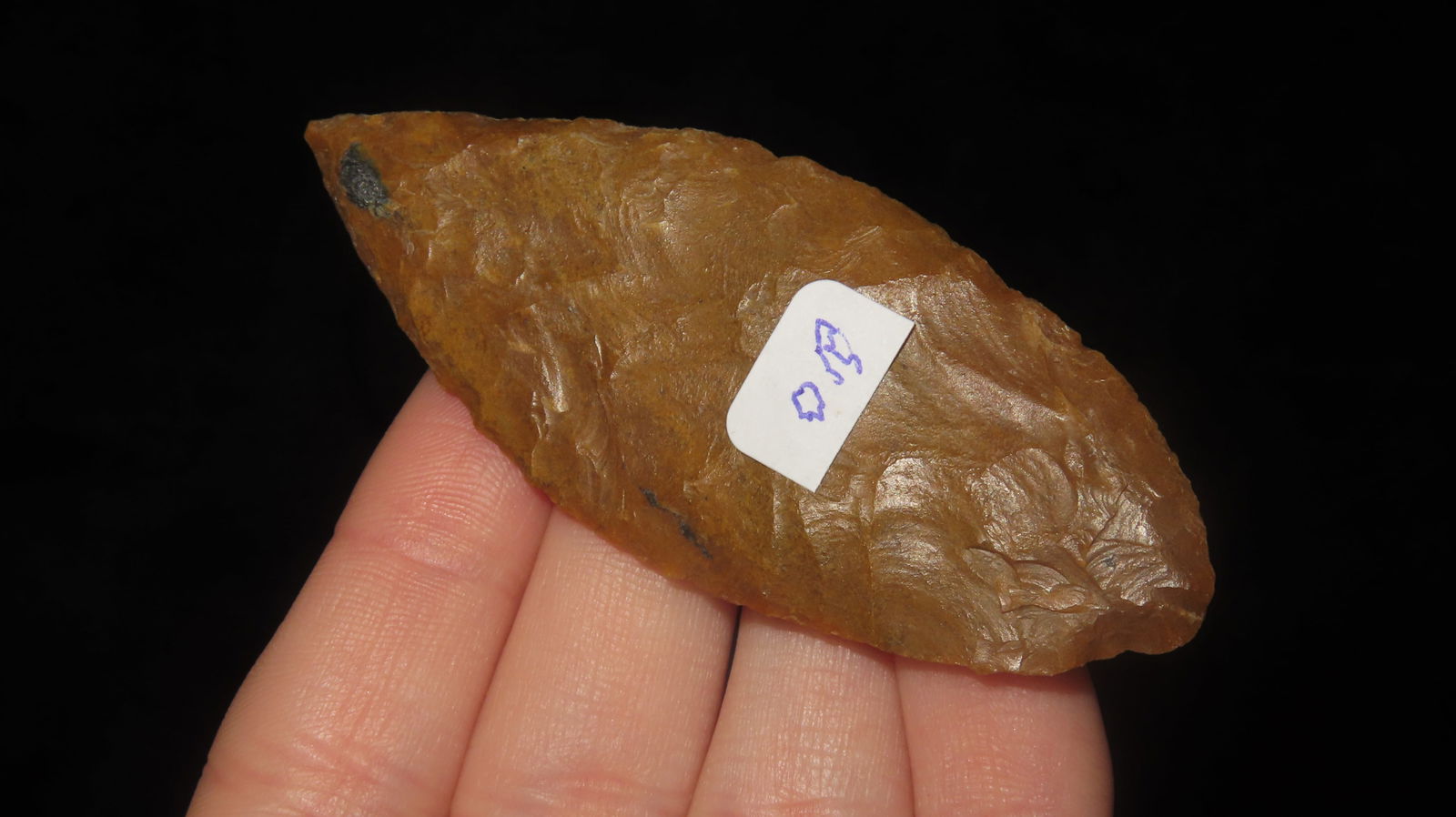 Leaf Blade, Oregon - 2