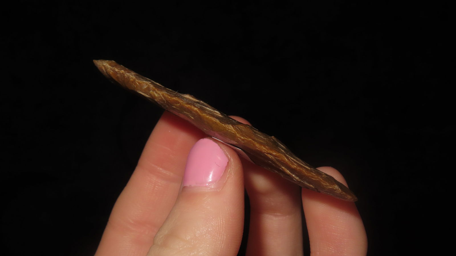 Leaf Blade, Oregon - 3