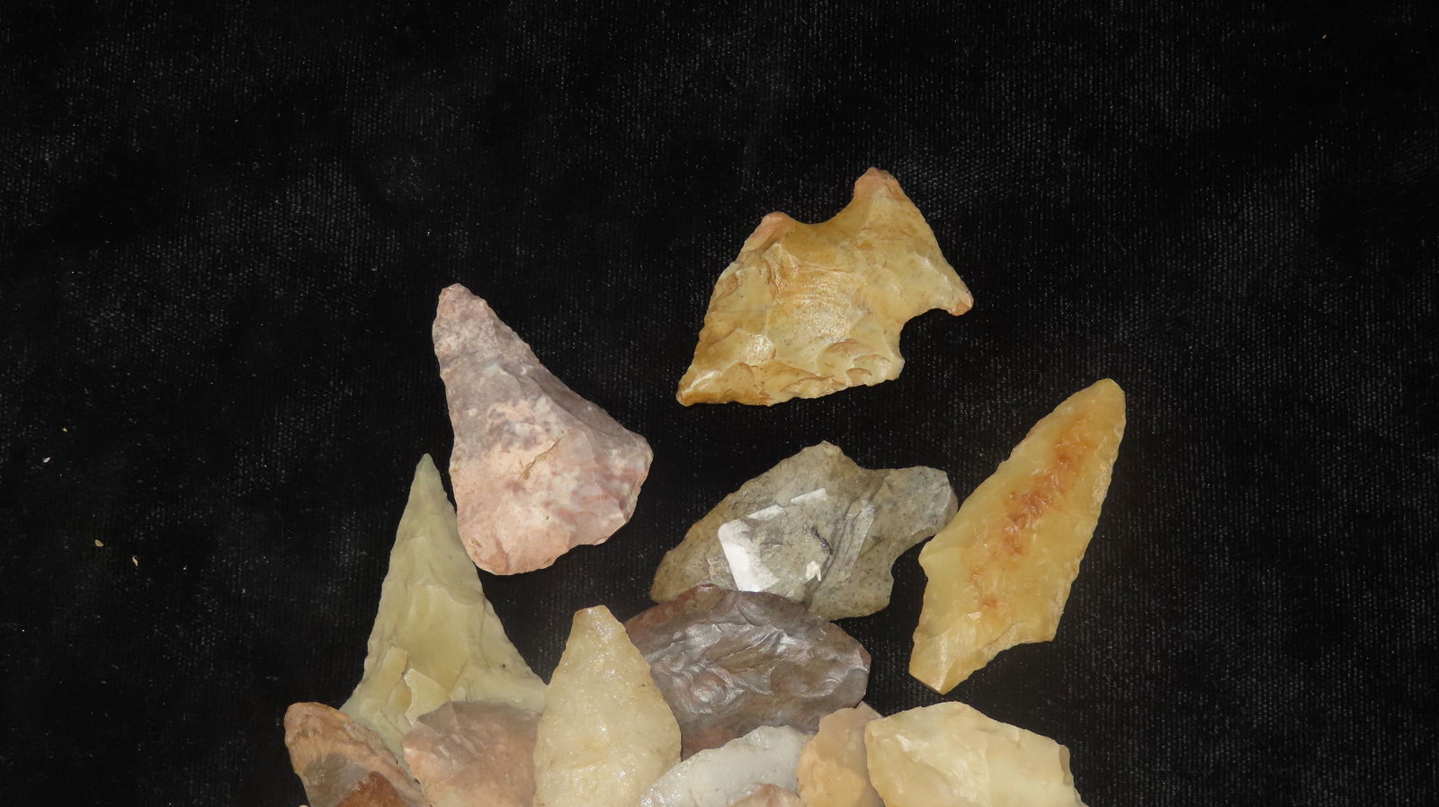 Lot of Quartz and Petrified Wood Points, Northwest: Lot of Quartz and Petrified Wood Points, Northwest