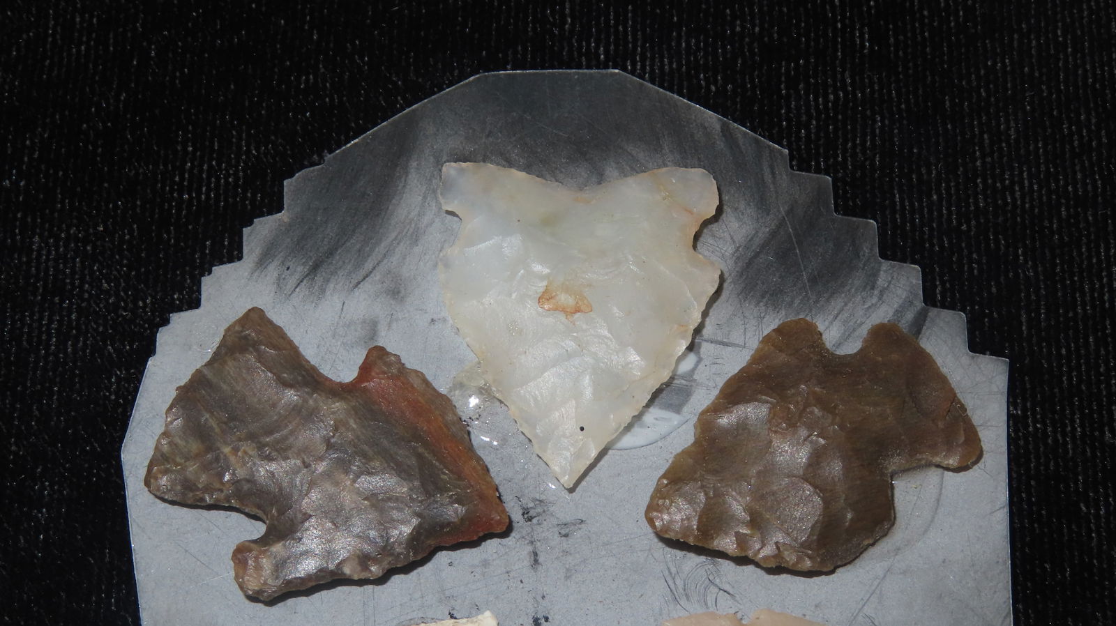Lot of Bird Points, Northwest Agate and Obsidian: Lot of Bird Points, Northwest Agate and Obsidian