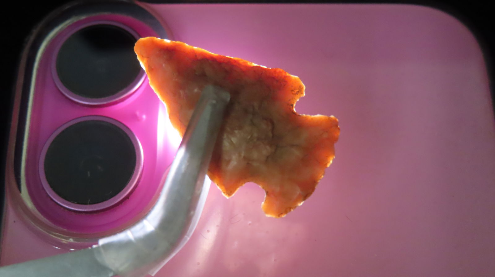 Lot of Two Bird Points, Largest is 1 3/4": Lot of Two Bird Points, Largest is 1 3/4"