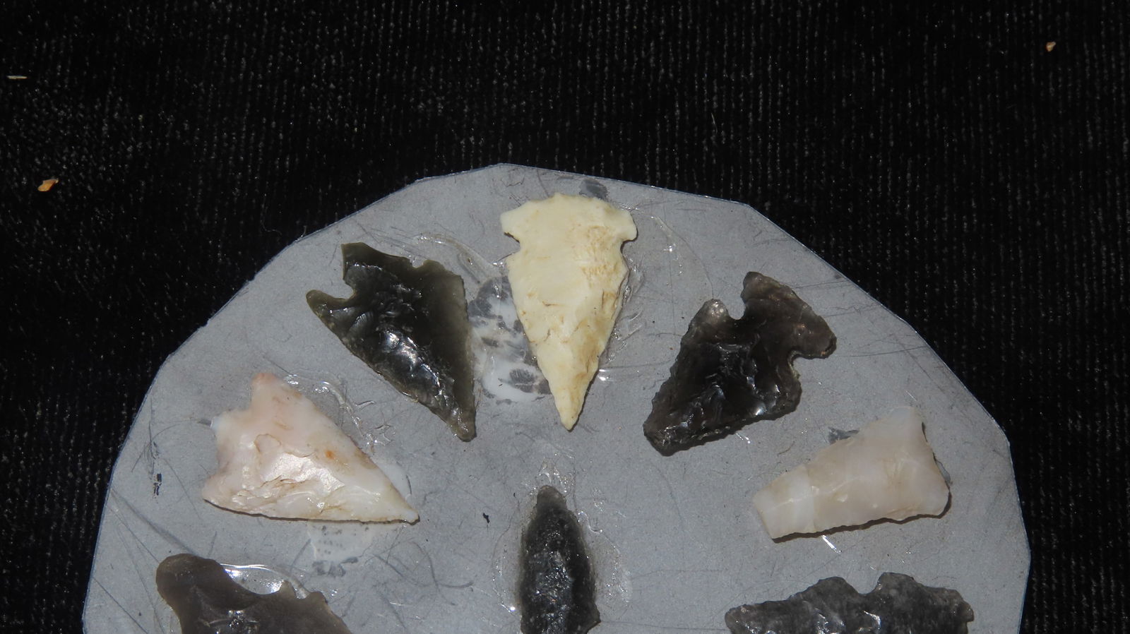 Lot of 11 Misc. Bird Points, Northwestern States: Lot of 11 Misc. Bird Points, Northwestern States