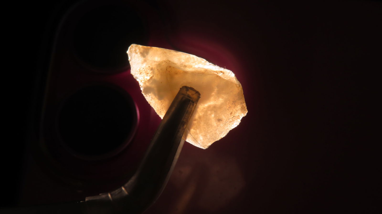 Lot of Clear Agate Bird Points, Northwestern States: Lot of Clear Agate Bird Points, Northwestern States