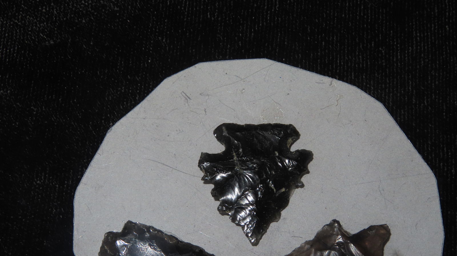 Lot of Northwest Bird Points: Lot of Northwest Bird Points