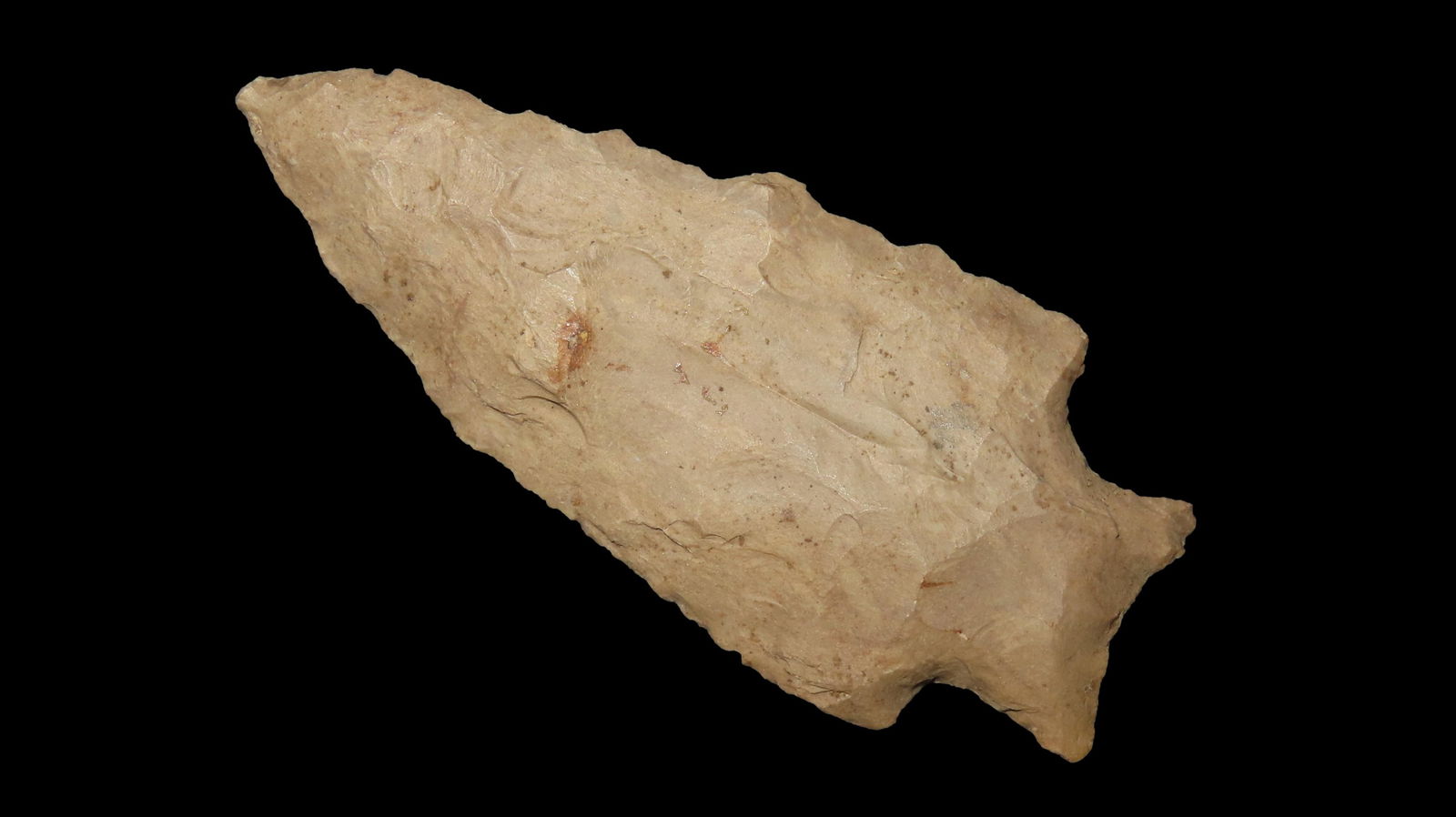 3 3/16" Bullseye Point, Tennessee, Ex. Jim Lee, Ex. Dickey (1 of 6)