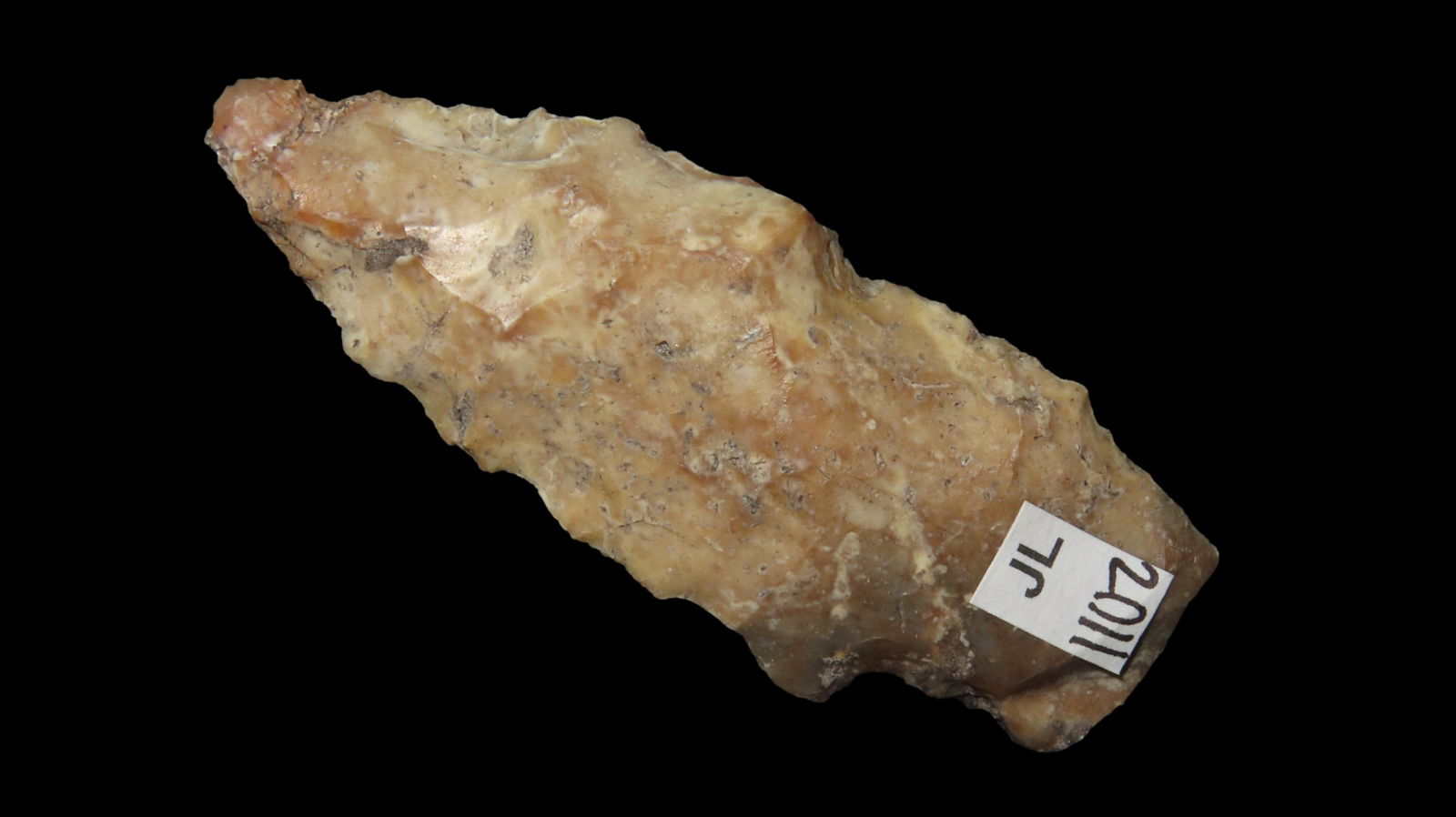 3 1/8" Very Colorful Coral Arrowhead, Florida, Ex. Gorgas, Ex. Jim Lee, Ex. Dickey: 3 1/8" Very Colorful Coral Arrowhead, Florida, Ex. Gorgas, Ex. Jim Lee, Ex. Dickey