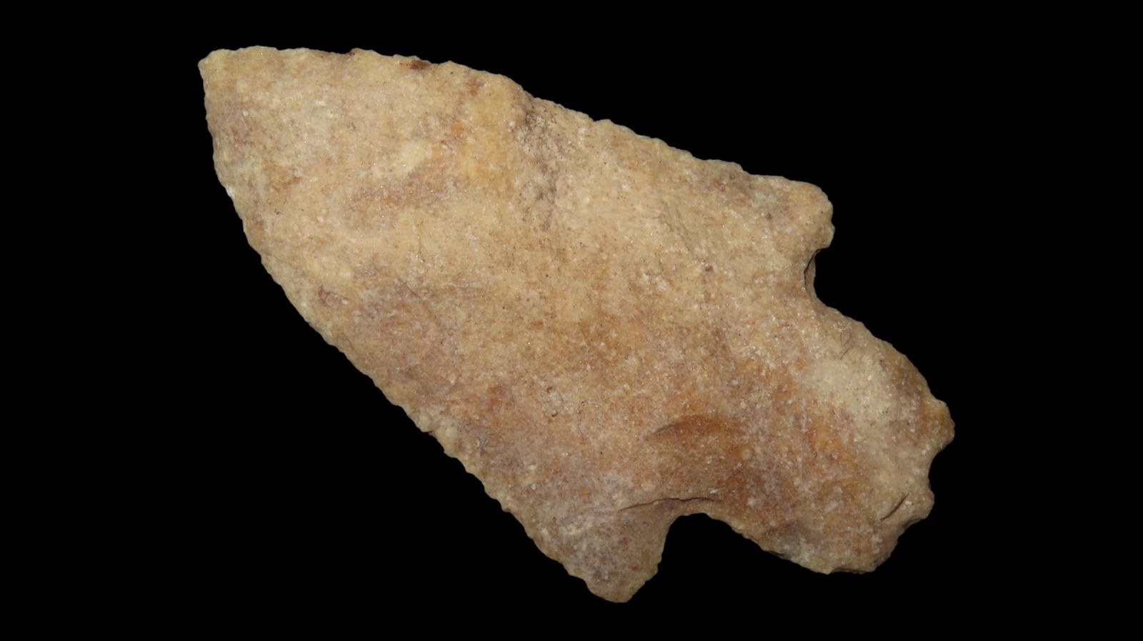 2 3/4" Newan, Florida, Ex. Mumax, Ex. Jim Lee, Ex. Dickey (1 of 6)