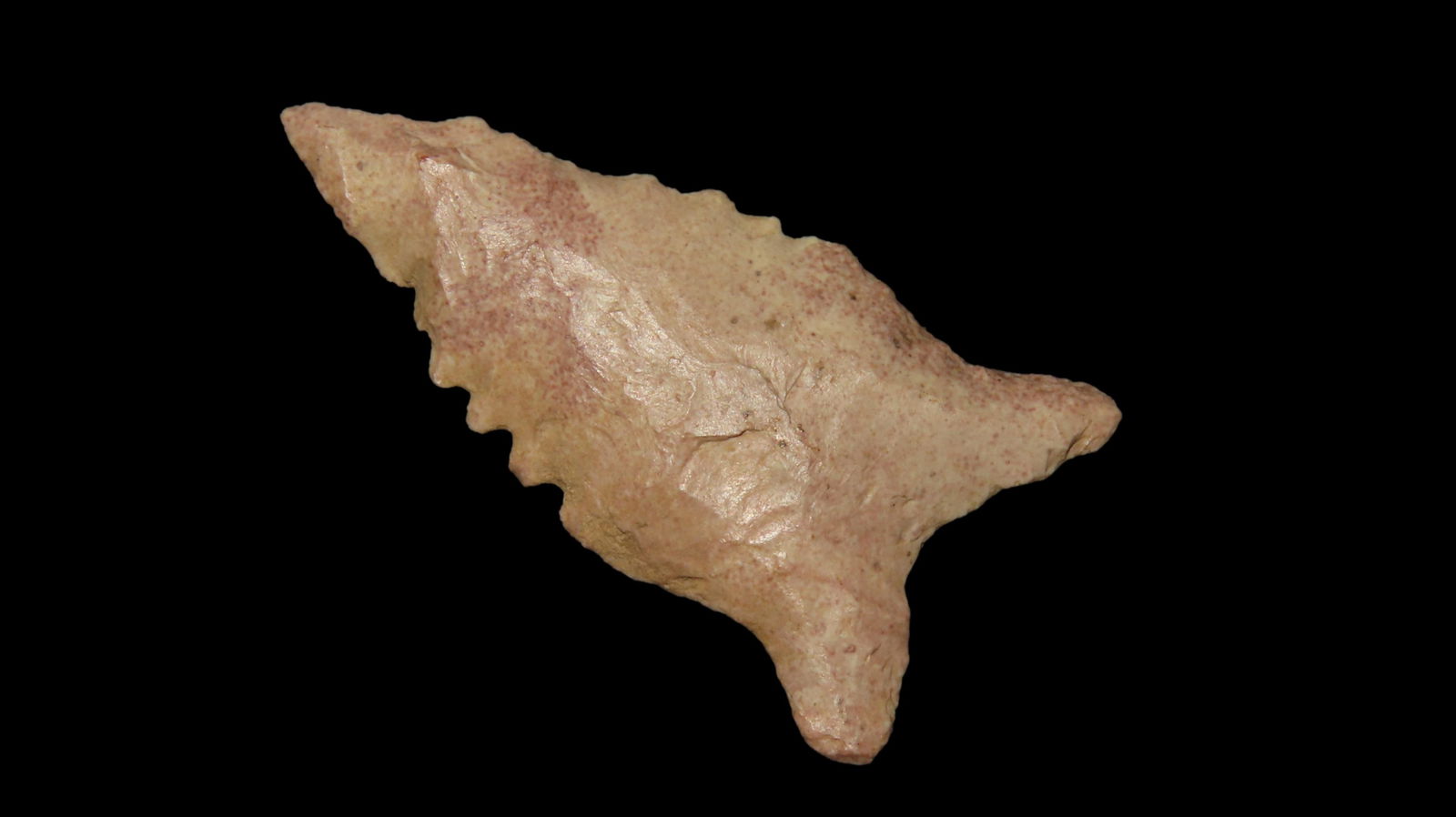 1 9/16" Dalton, Hardin Co., Tennessee, Ex. Dickey: 1 9/16" Dalton, Hardin Co., Tennessee, Ex. Dickey