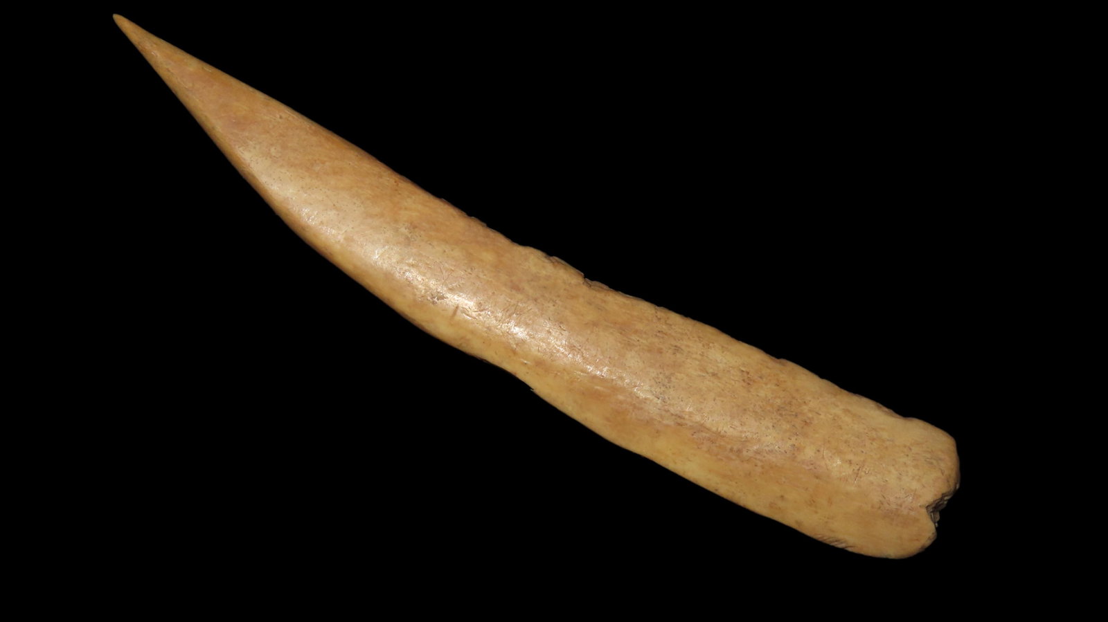 Bone Awl, Mandan/Arikria Culture, Morton Co., North Dakota, Ex. Dickey (1 of 6)