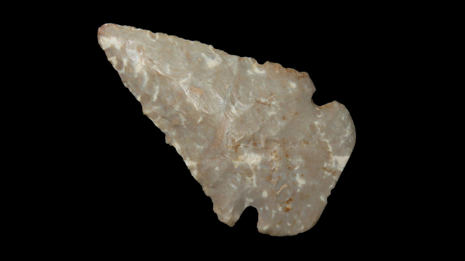 2 1/4" Dovetail, Wissman Farm, St Louis Co., Missouri, Found by Richard Nichols, Ex. Jim Lee, Ex. (1 of 6)