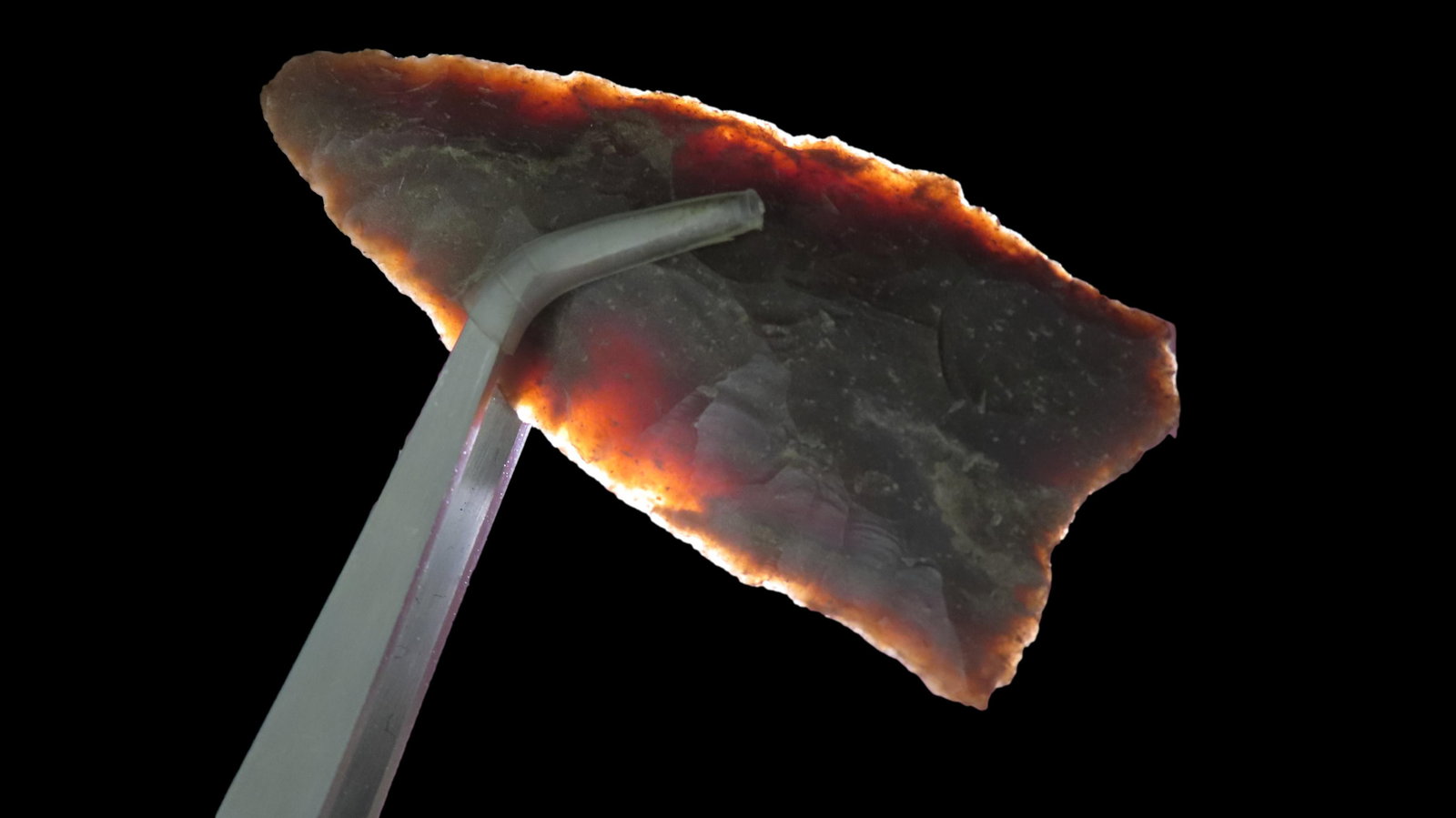 3 1/4" x 1 1/2" Scottsbluff, Beer Chert, Texas, COA Motley and Leithoff (1 of 9)