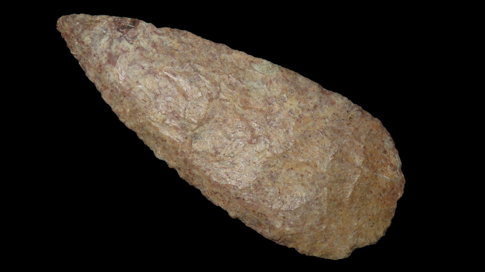 4 1/2" x 1 13/16" Cobbs Triangle, Undetermined Fossiliferous Chert, Illinois, COA Dickey (1 of 8)