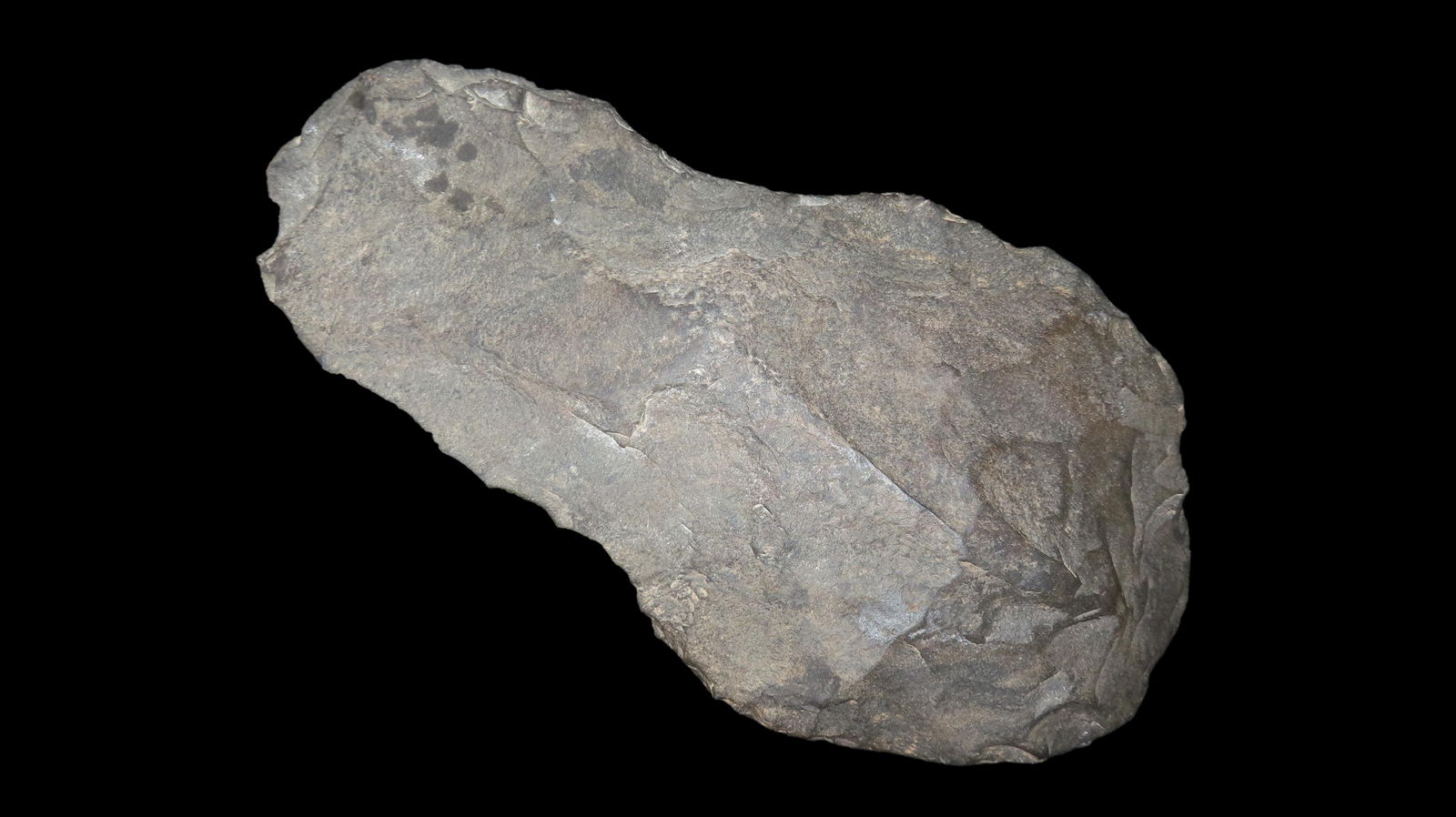 9" x 4 3/4" Bell Shaped Spade, Oklahoma: 9" x 4 3/4" Bell Shaped Spade, Oklahoma