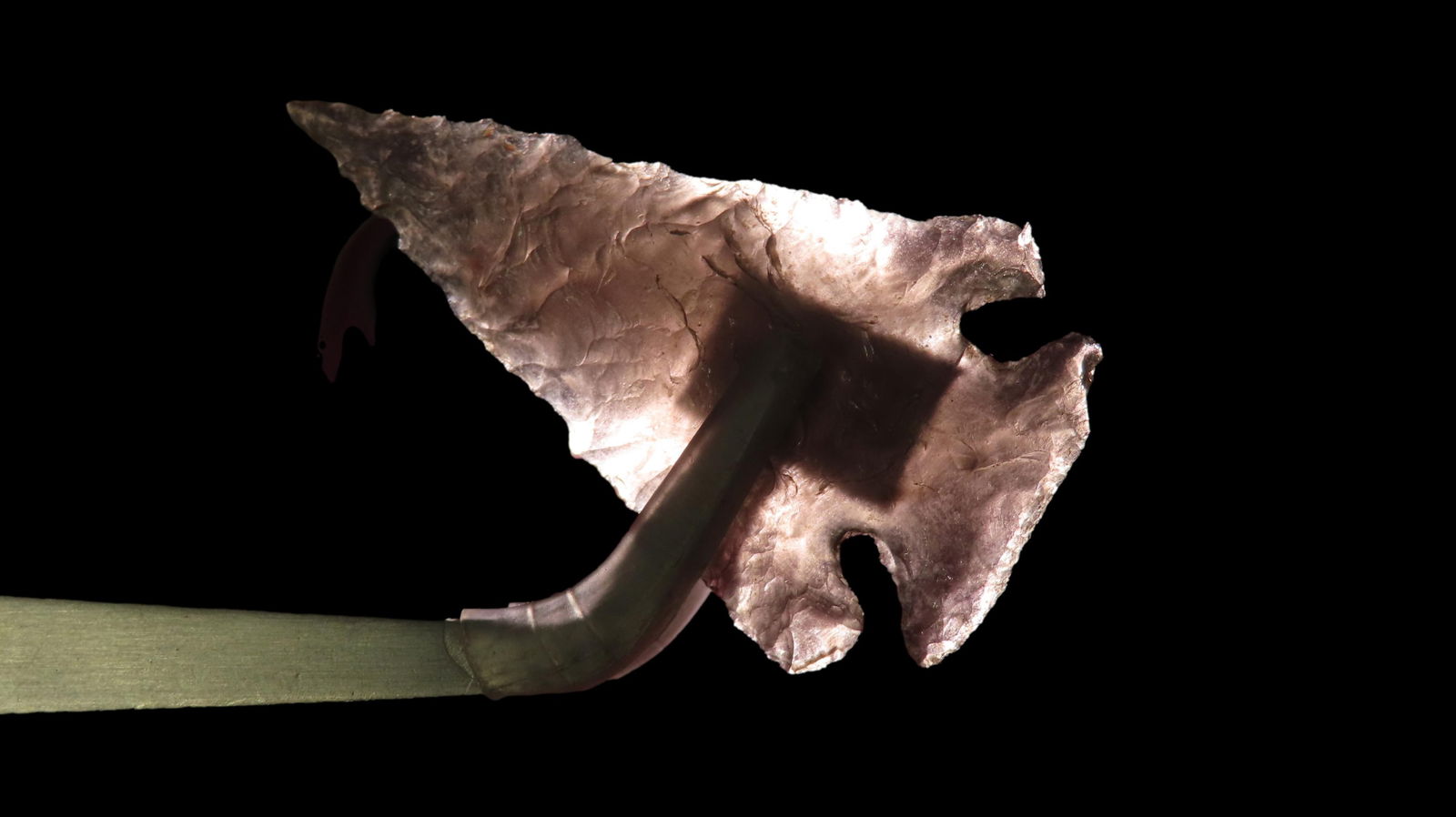 1 7/8" x 1 1/16" Elko Series, Obsidian, near Malheur Forrest Oregon, COA Dickey: 1 7/8" x 1 1/16" Elko Series, Obsidian, near Malheur Forrest Oregon, COA Dickey