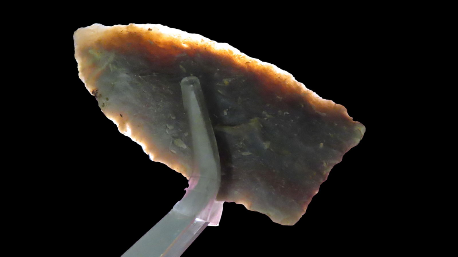 2 1/4" x 1 1/16" Paint Rock Valley, Undetermined Chert, Alabama, COA Dickey: 2 1/4" x 1 1/16" Paint Rock Valley, Undetermined Chert, Alabama, COA Dickey