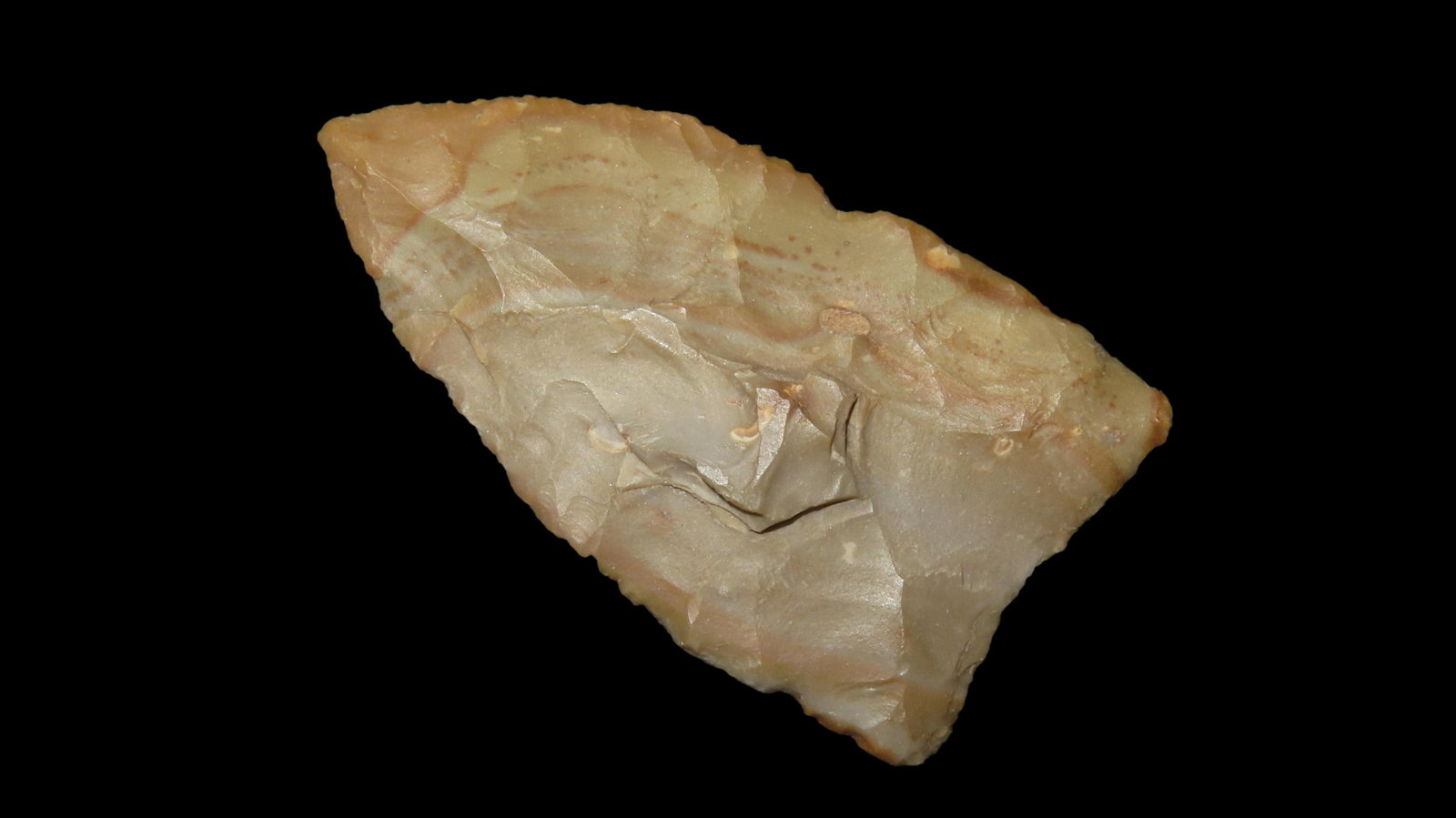 1 15/16" X 1 1/16" Paint Rock Valley, Buffalo River Chert, Western Tennessee, COA Dickey (1 of 7)