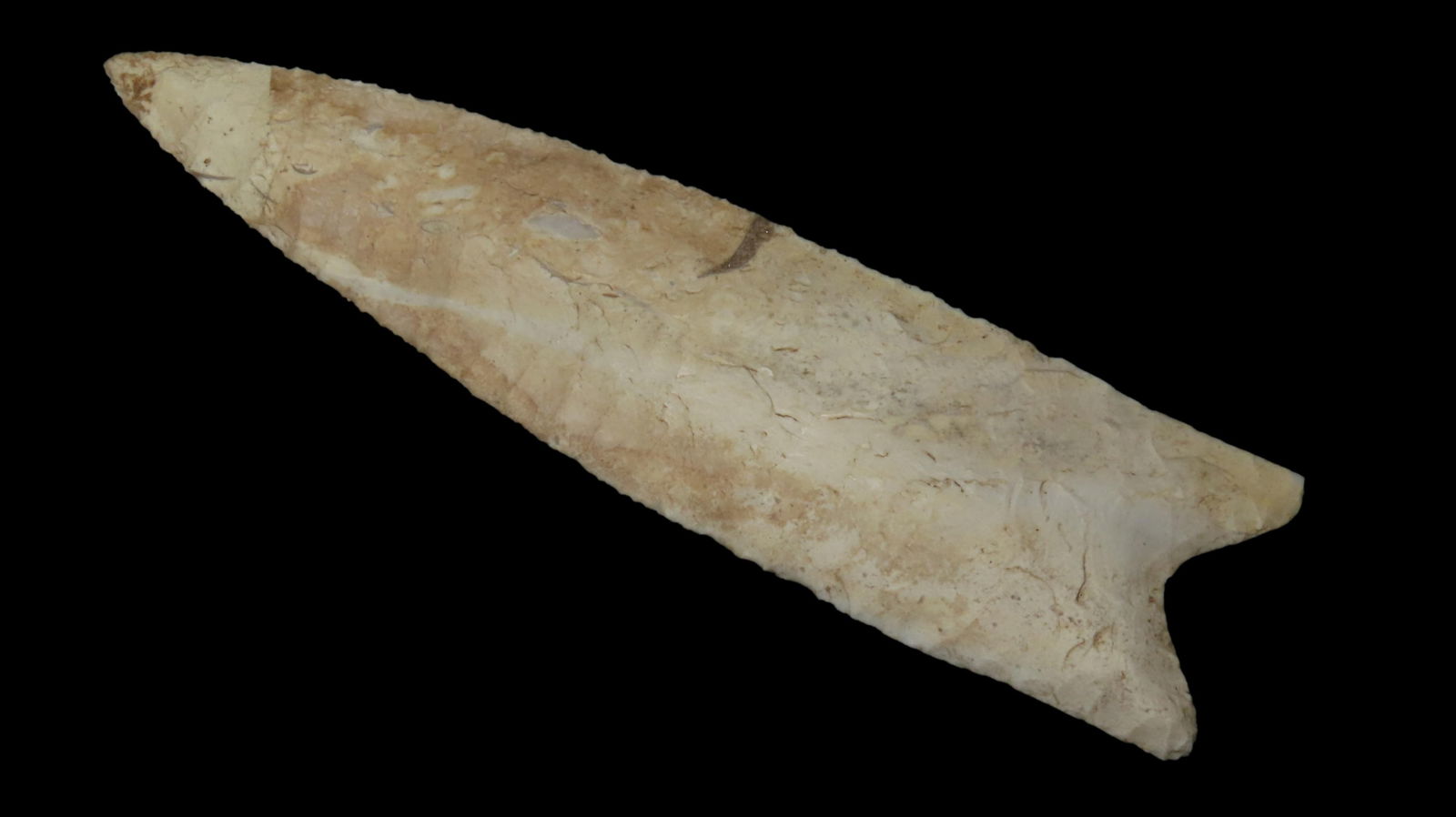 6 9/16" x 1 5/8" Dalton (Sloan Variety), Burlington Chert, Jefferson Co, Missouri, COA Stermer (1 of 8)