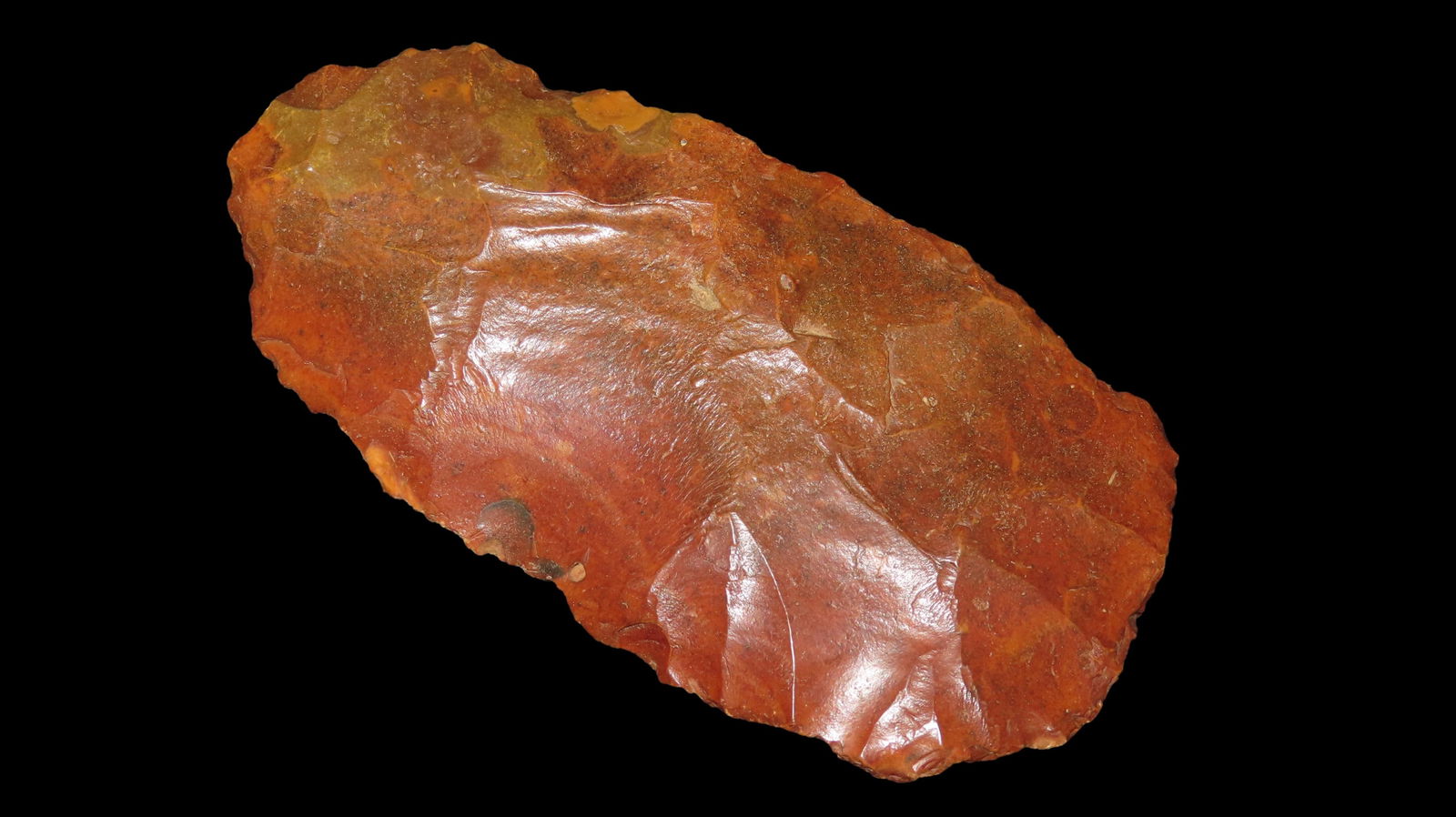 5 11/16" x 3" Blade, River Polished Chert, Florida, COA Bennett (1 of 8)