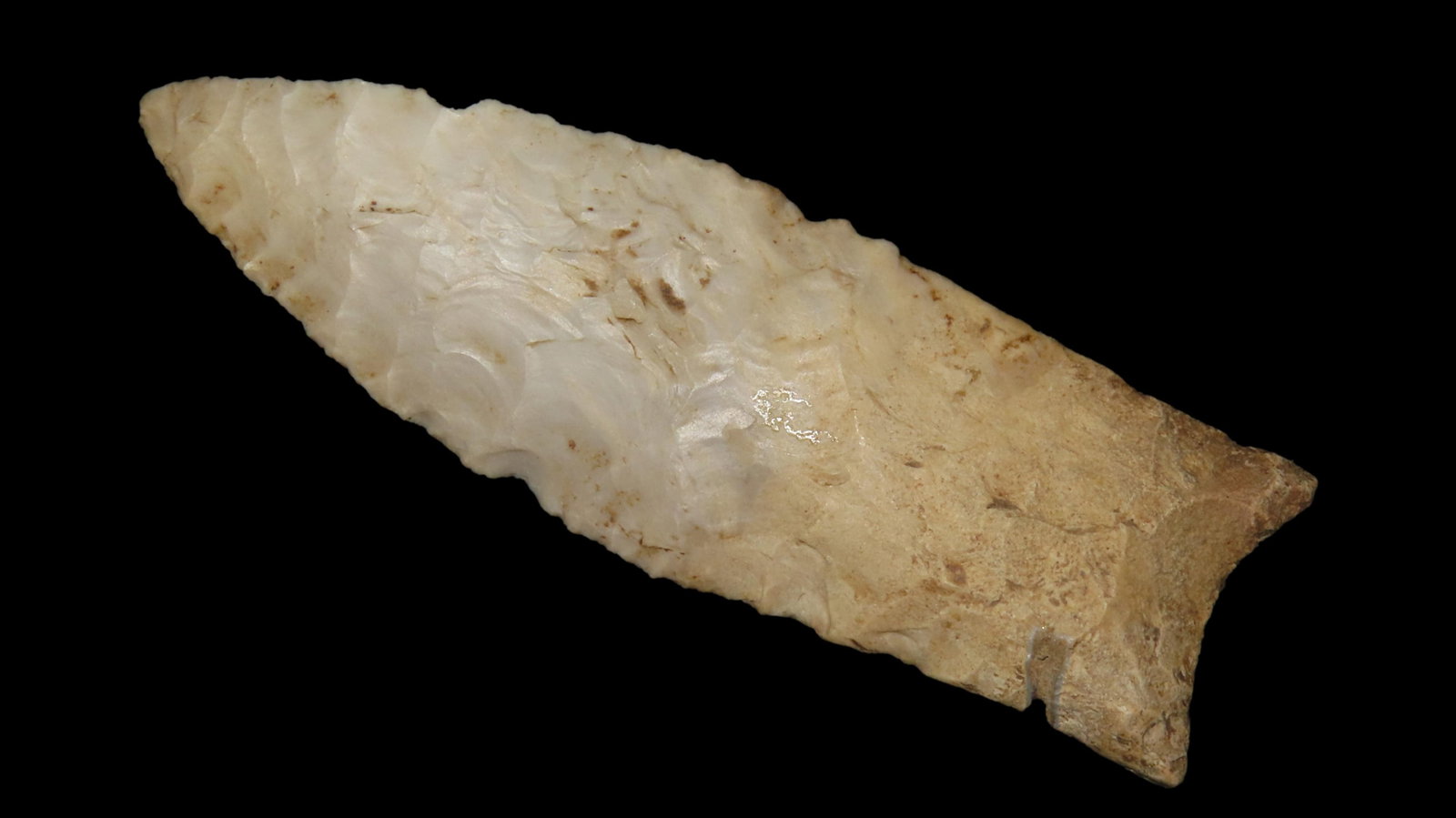 3 1/4" x 1 1/16" Beaver Lake, Undetermined Chert, Kentucky, COA Dickey (1 of 8)