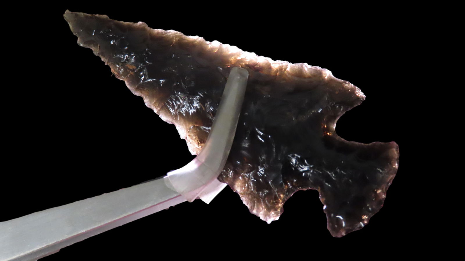 2 7/8" Rosegate, Obsidian, California, COA Dickey (1 of 9)