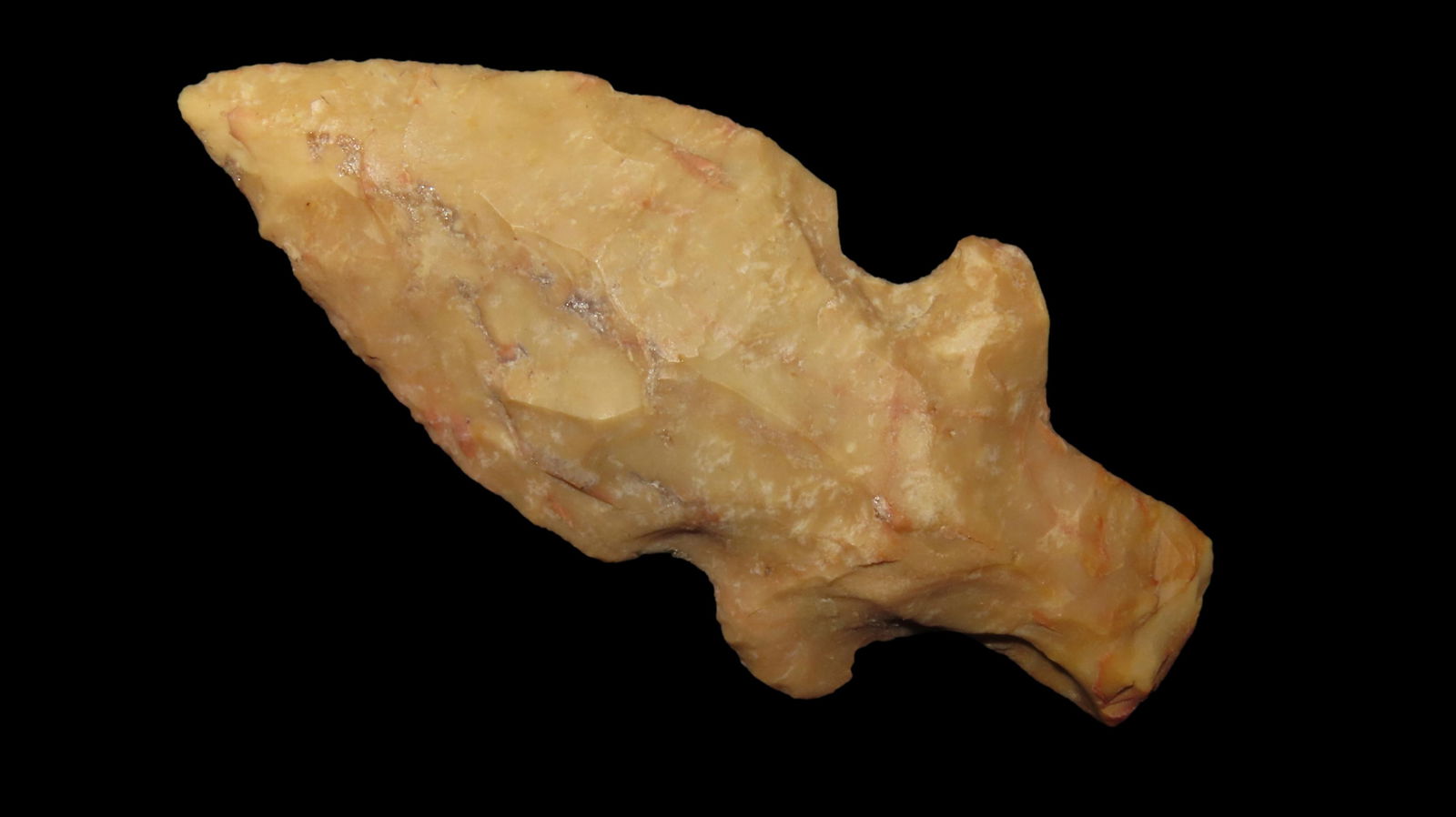 2 7/8" x 1 5/16 Evans, Undetermined Chert, Arkansas, COA Dickey (1 of 8)