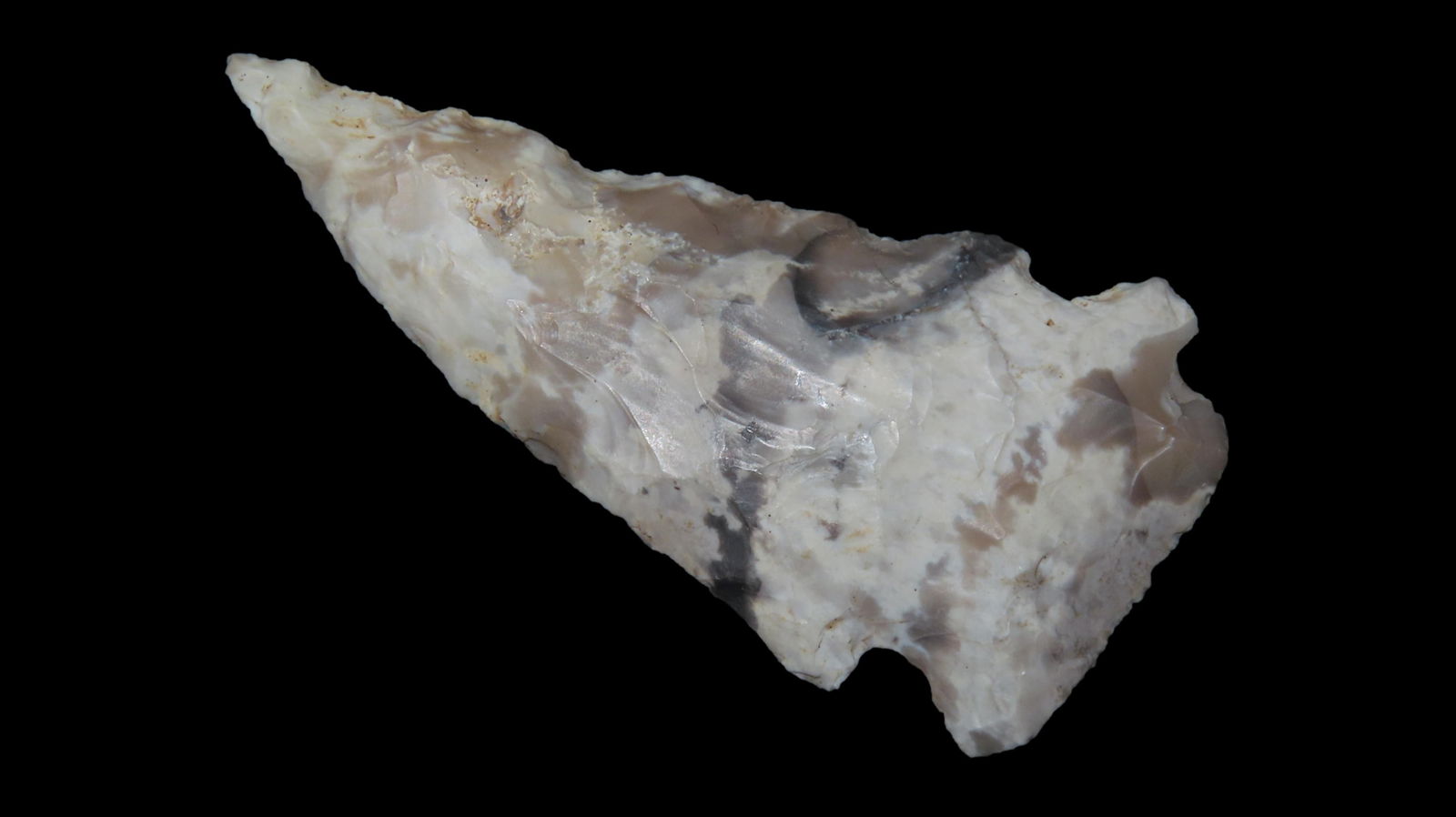 2 3/4" x 1 1/4" Eccentric, Undetermined Chert, Dickey COA, Crosby Co., Texas, (1 of 8)