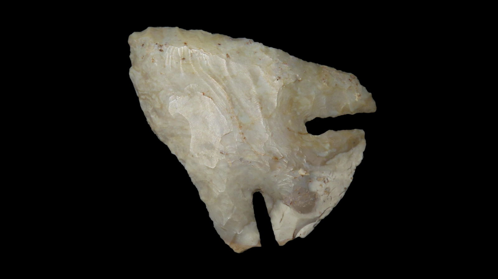 2 1/4" Lost Lake Dovetail, Illinois (1 of 7)