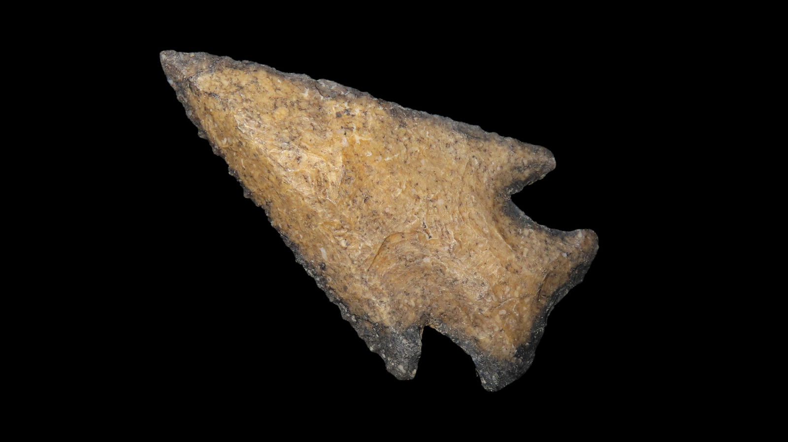 2 1/4" x 1 1/4" Hardin, Motley/Leithoff COA, River-stained Chert, Madison Co., Florida (1 of 8)