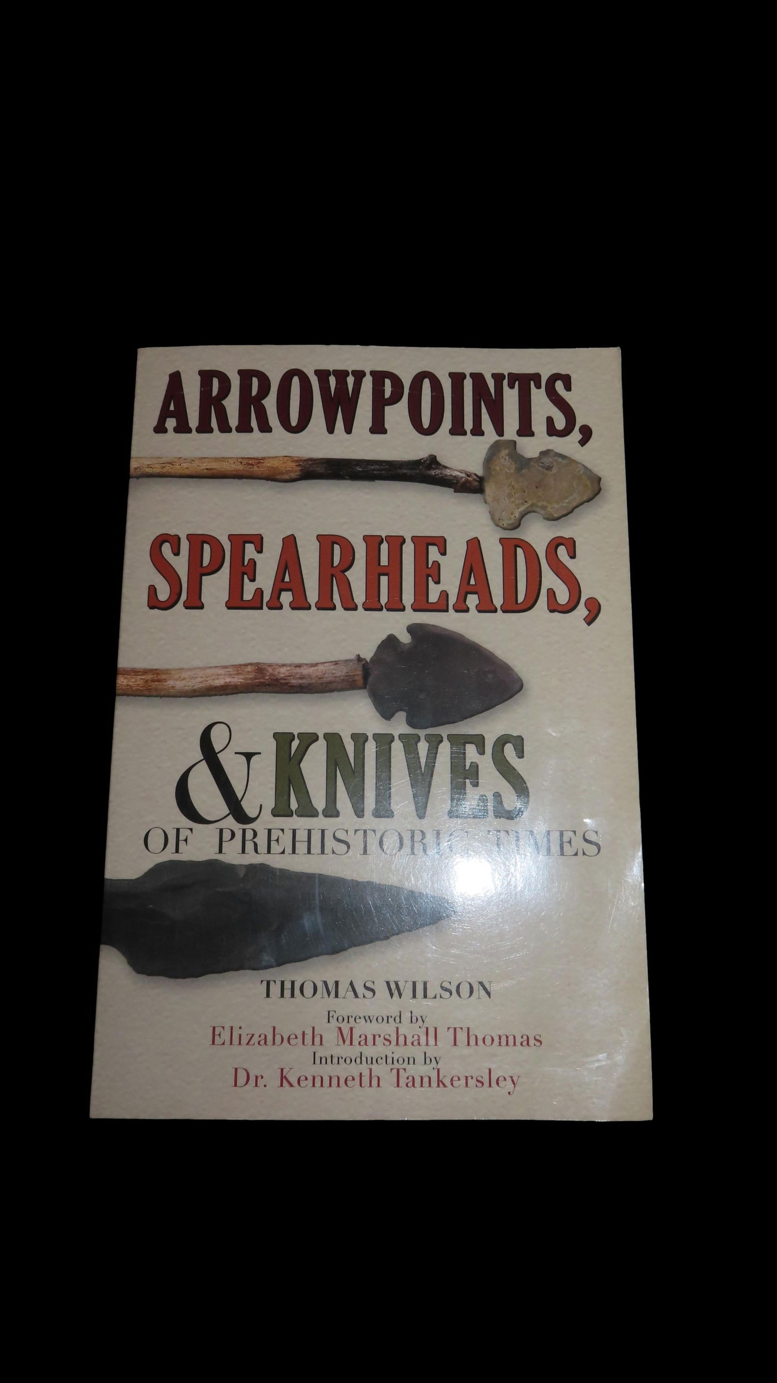 Arrowpoints, Spearheads, & Knives of PRehistoric Times by Thomas Wilson (1 of 5)