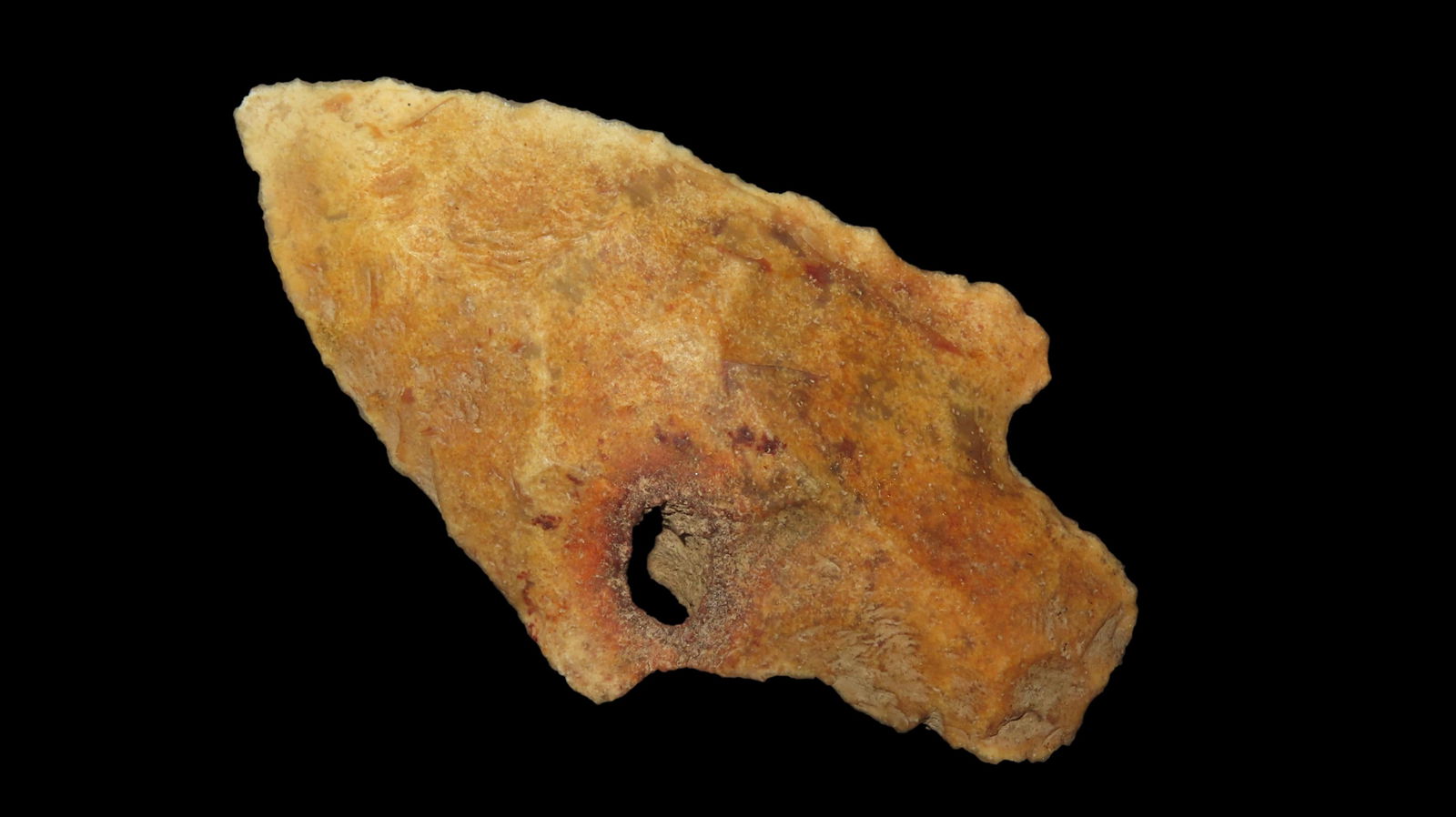 3" Flordia Point with Hole, Found near Tampa Florida, Ex. Jim Lee, Ex. Dickey (1 of 6)