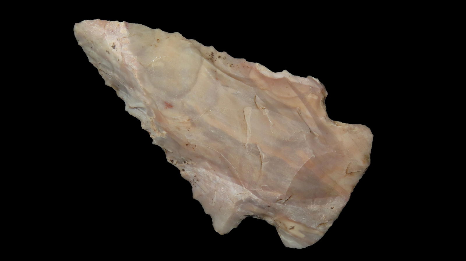 2 5/16" Beveled and Serrated Rice Lobbed, Lecade Co., Missouri, Mozarkite, EX Dickey (1 of 6)