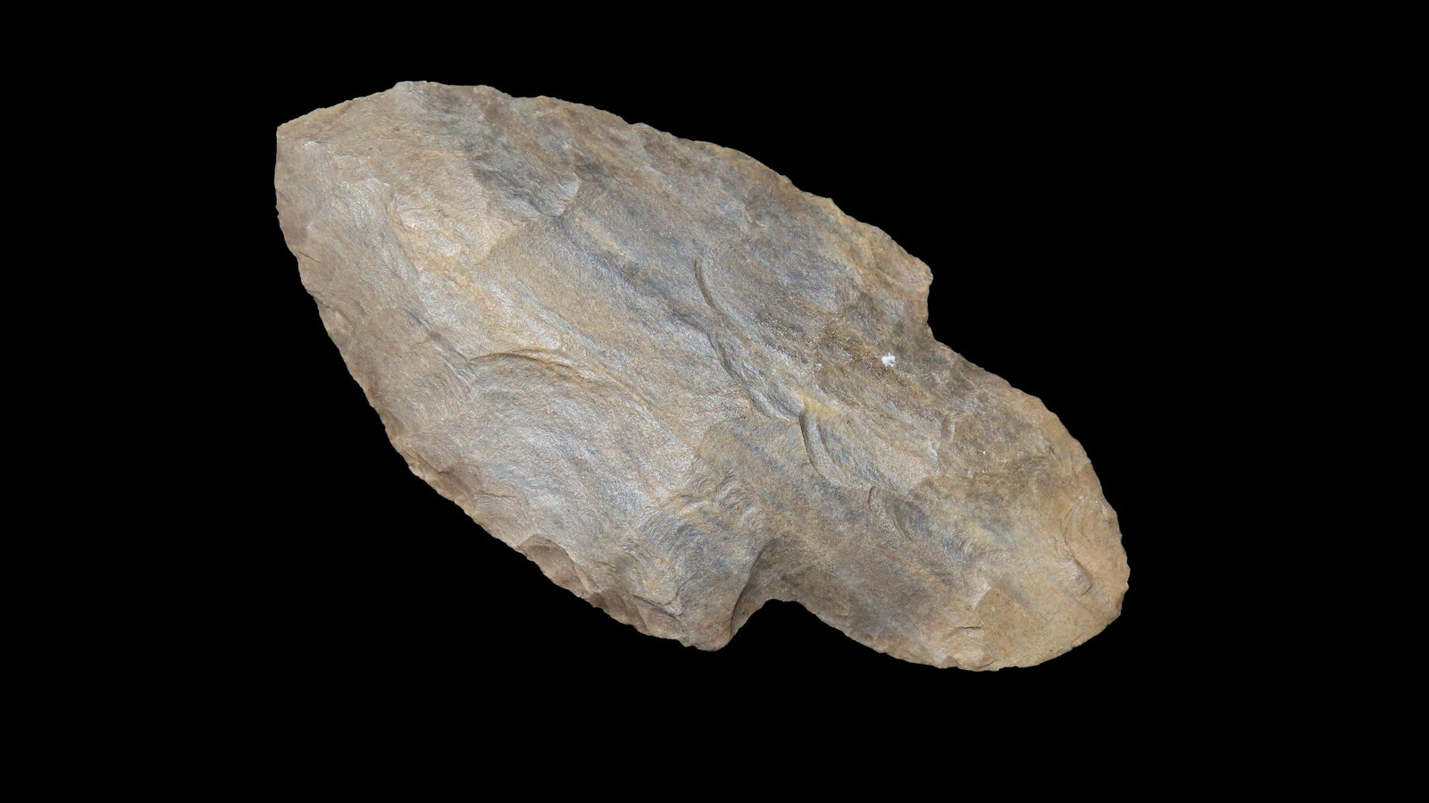 2 5/8" Turkey Tail, Benton Co., Tennessee, Ex. Jim Lee, Ex. Dickey (1 of 6)