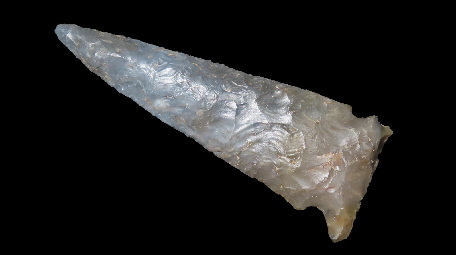 3 1/8" Sonora Meadowood, Kentucky, Ex. Cordeiro, Ex. Jim Lee, Ex. Dickey (1 of 6)