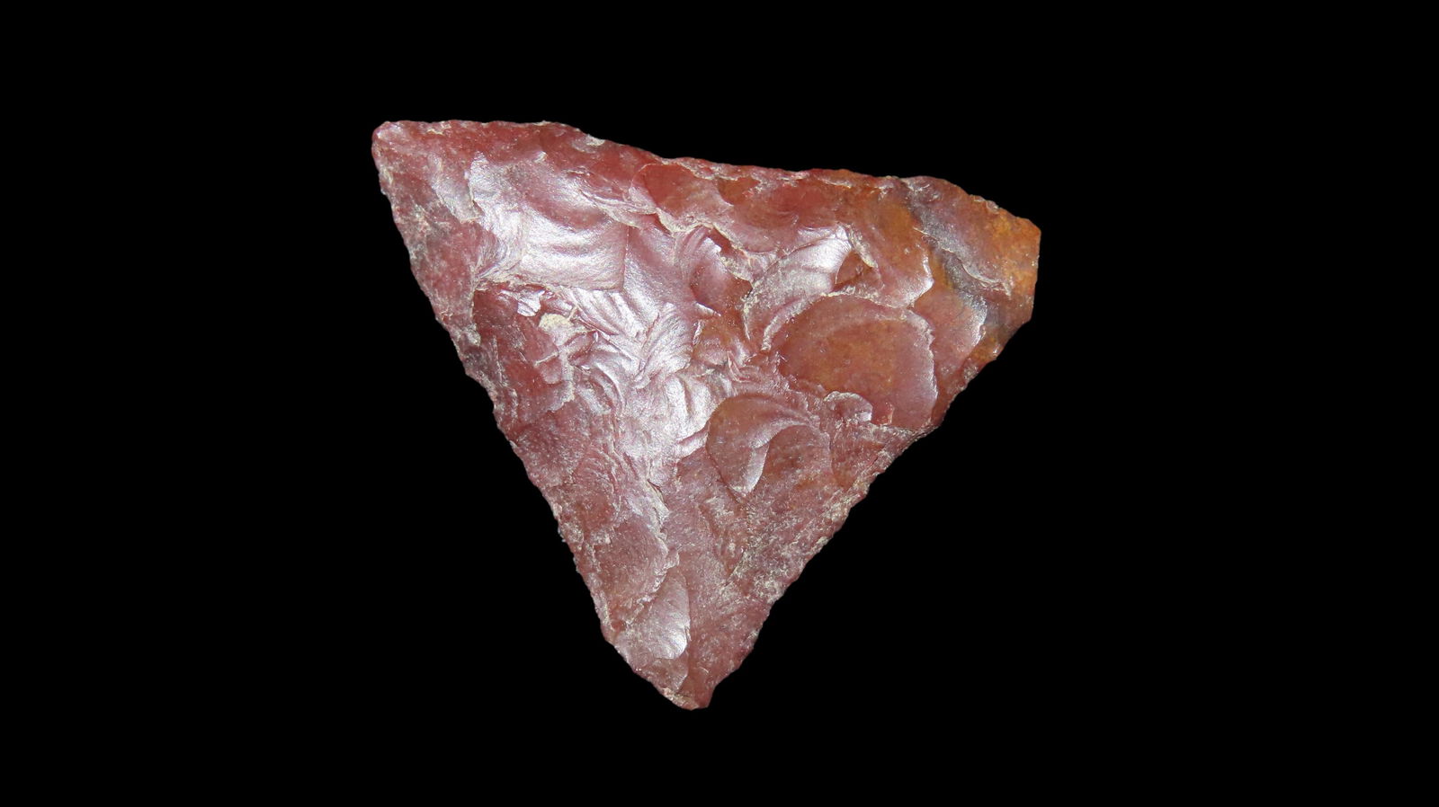 1 3/8" Mule Ear, Columbia River Orego, Ex. Cordeiro, Ex. Jim Lee, Ex. Dickey: 1 3/8" Mule Ear, Columbia River Orego, Ex. Cordeiro, Ex. Jim Lee, Ex. Dickey