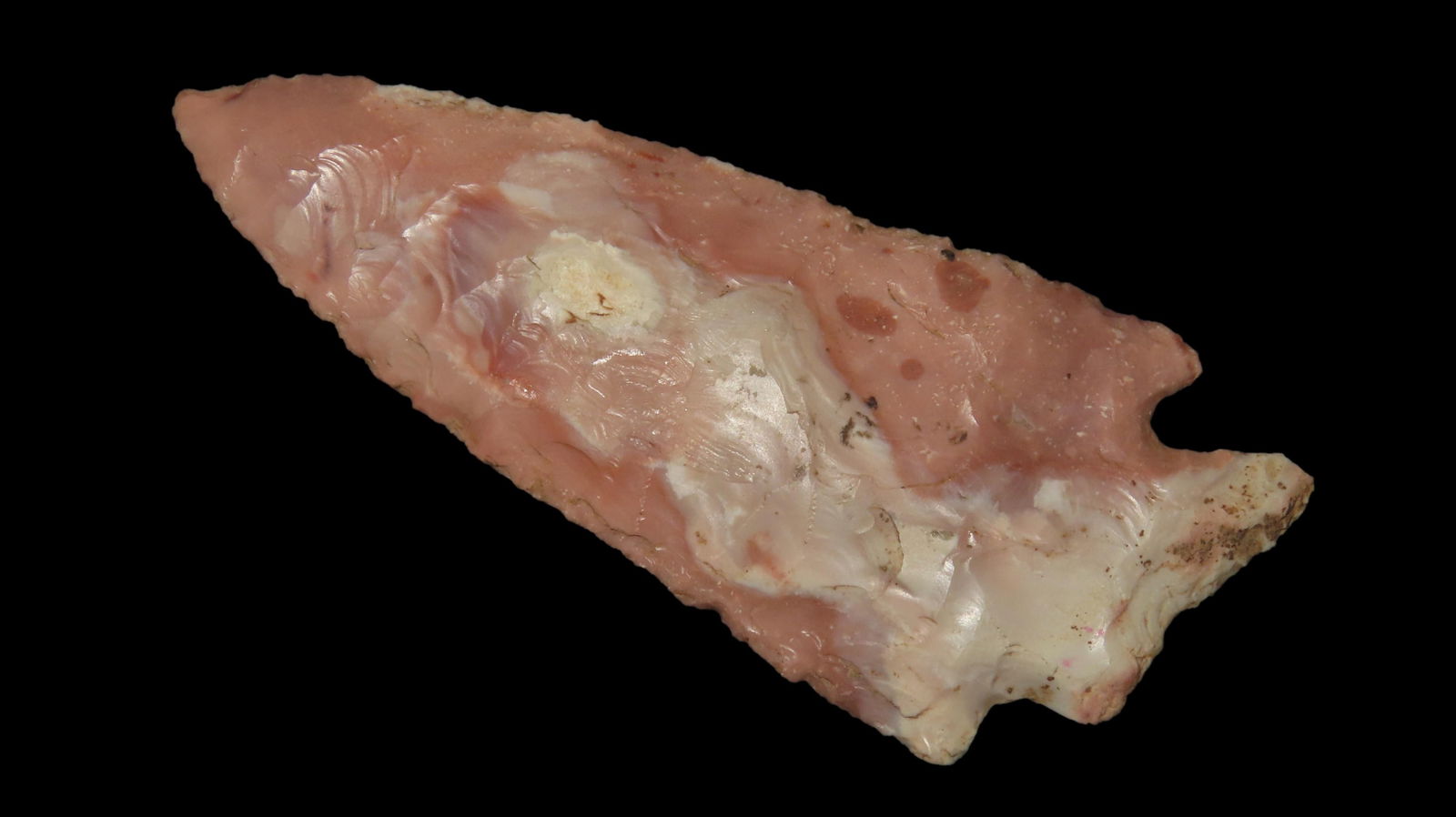 3 9/16" x 1 9/16" Stillwell, C.M.A.E.G. COA, Found in Miller Co., Missouri rear the Osage River, (1 of 8)