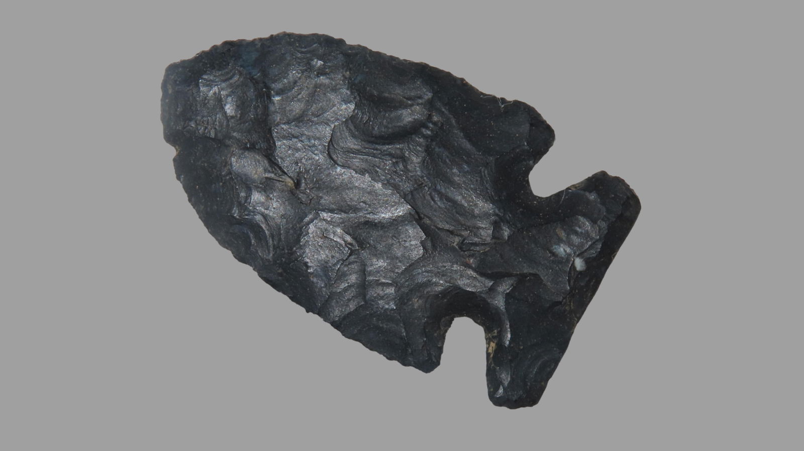 2 1/8" x 1 1/4", Newton Falls, COA Ken Partain, Coshocton Chert, Coshocton County Ohio, Found south (1 of 8)