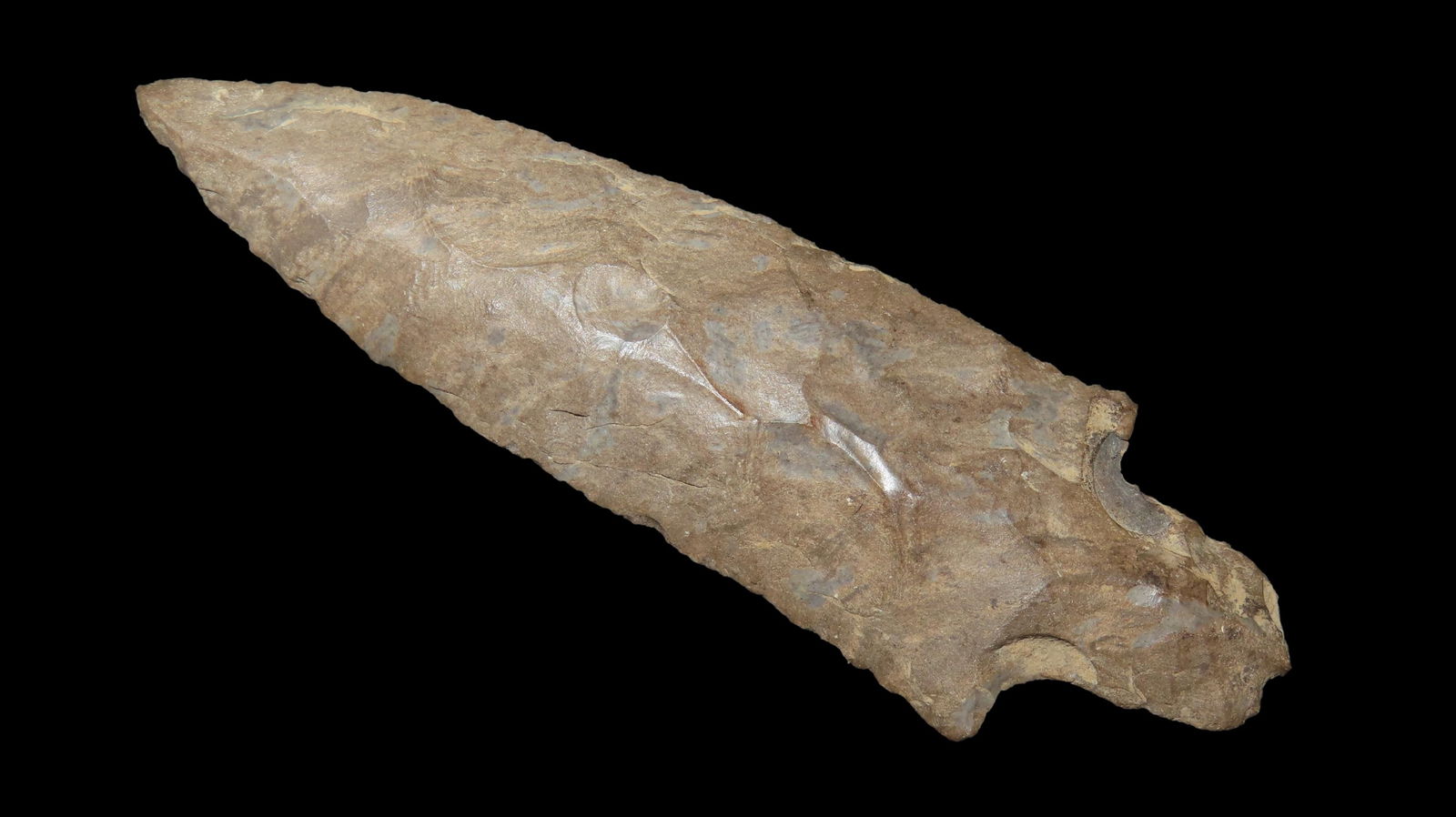 3 3/4" x 1 1/8", Adena Narrow Stem, COA Ken Partain and Cypress Valley Antiquities, Fort Payne (1 of 9)