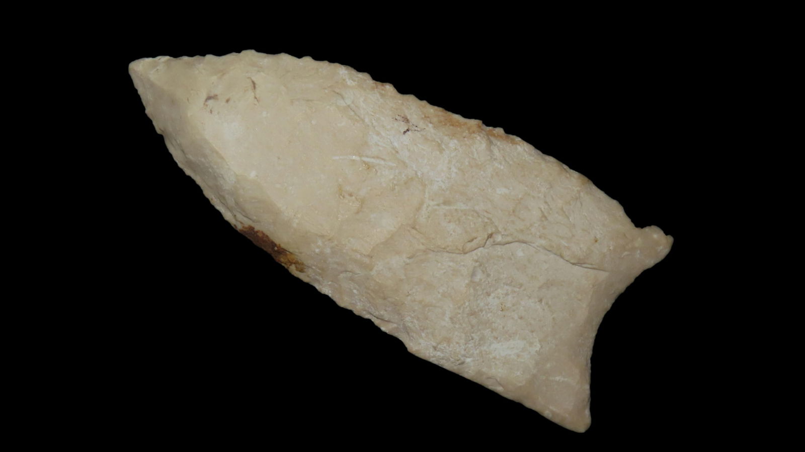 2 13/16" x 1 3/4", Dalton, COA Ken Partain, White Fossilized Chert, Daviess County Kentucky - Ohio (1 of 8)