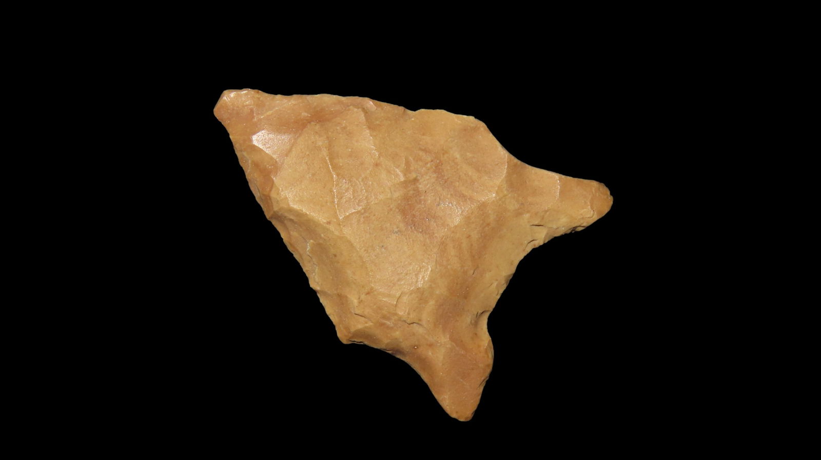 1 1/8" San Patrice, Fluted Transitional Paleo, 10, 000 â€“ 8, 000 B.P., Found in Louisiana /: 1 1/8" San Patrice, Fluted Transitional Paleo, 10, 000 â€“ 8, 000 B.P., Found in Louisiana / Texas, by Joshua Ream, Ex. Jim Bennett